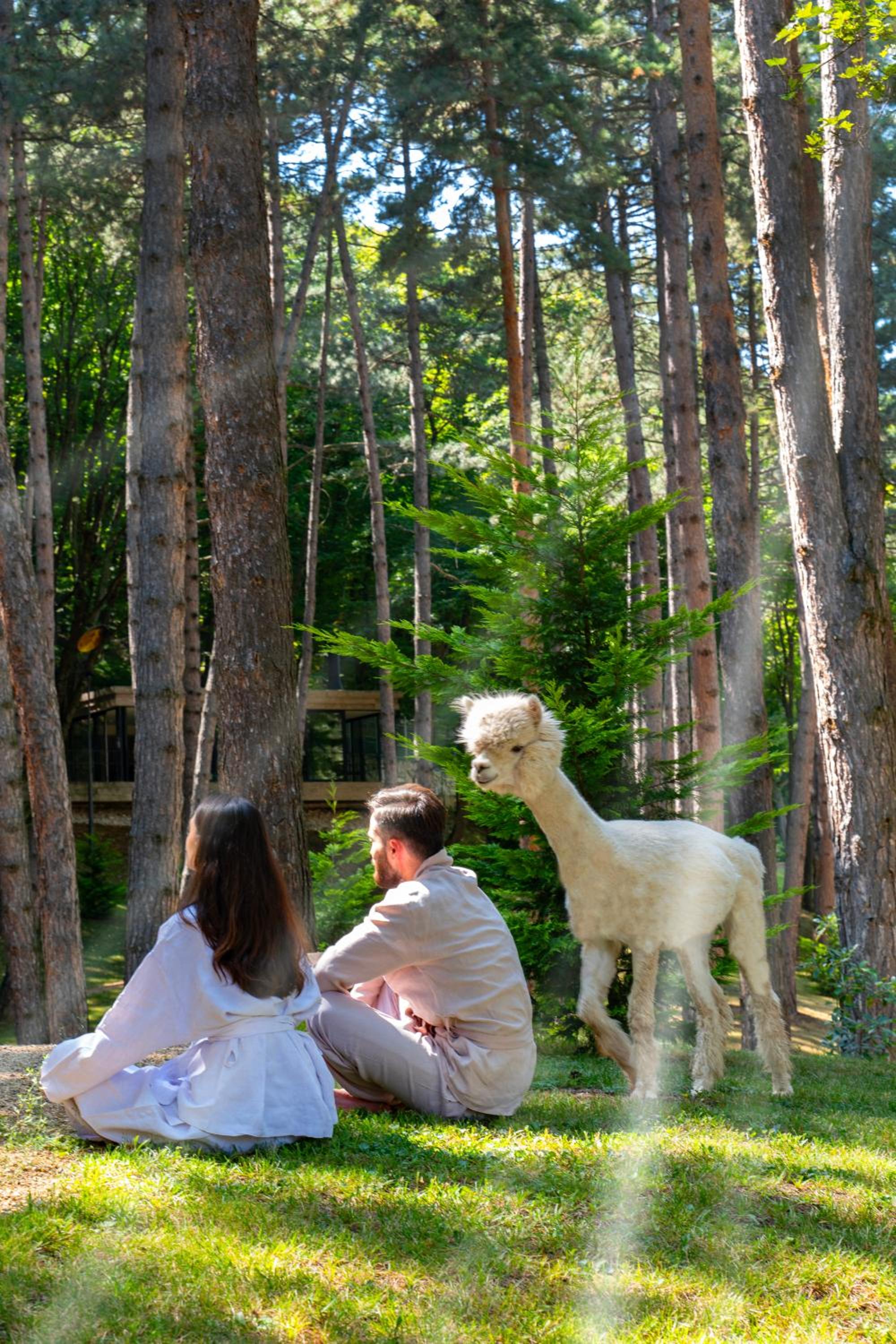 Bioli Wellness Resort — photo 67