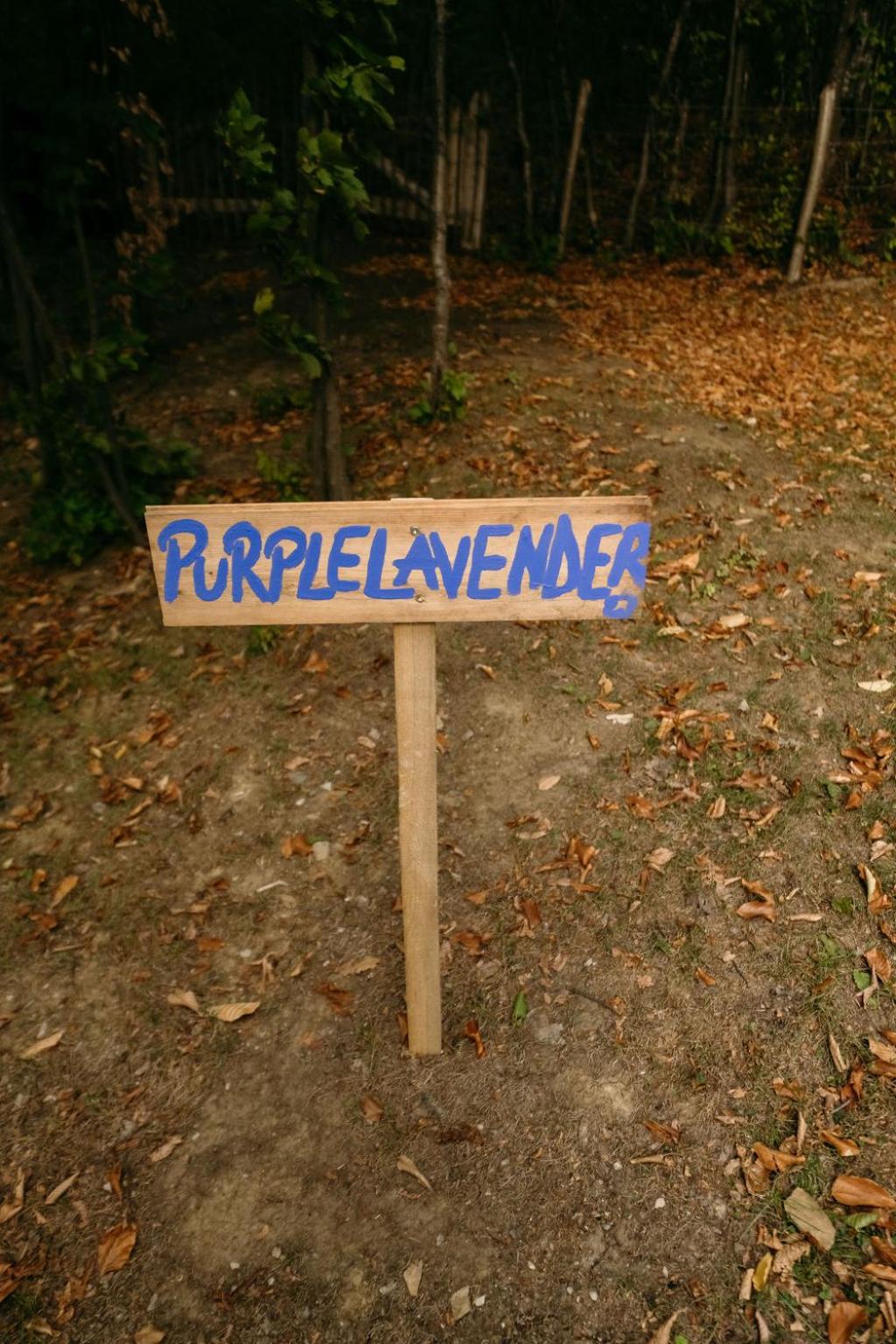 PurpleVague