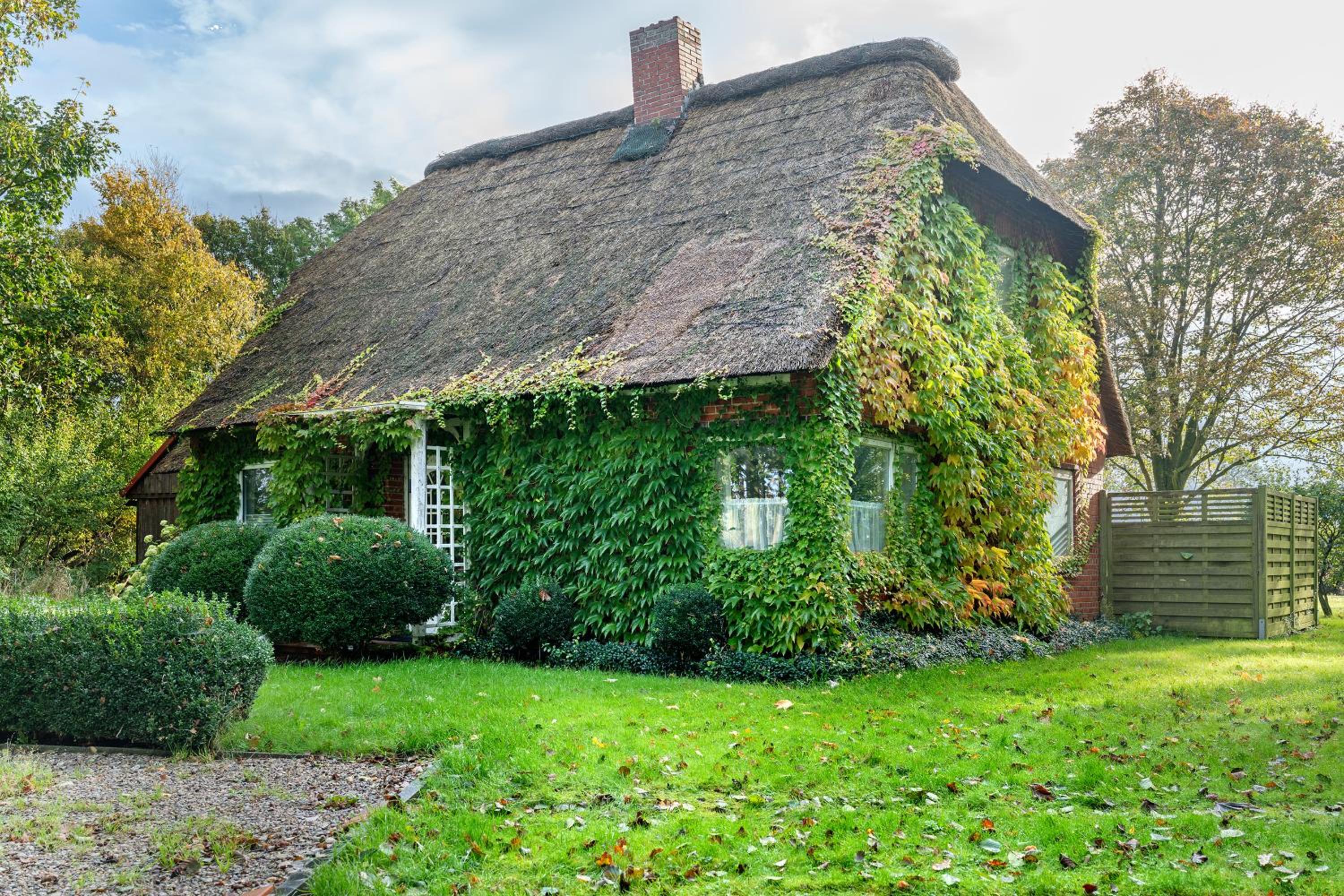 Reetdachchalet