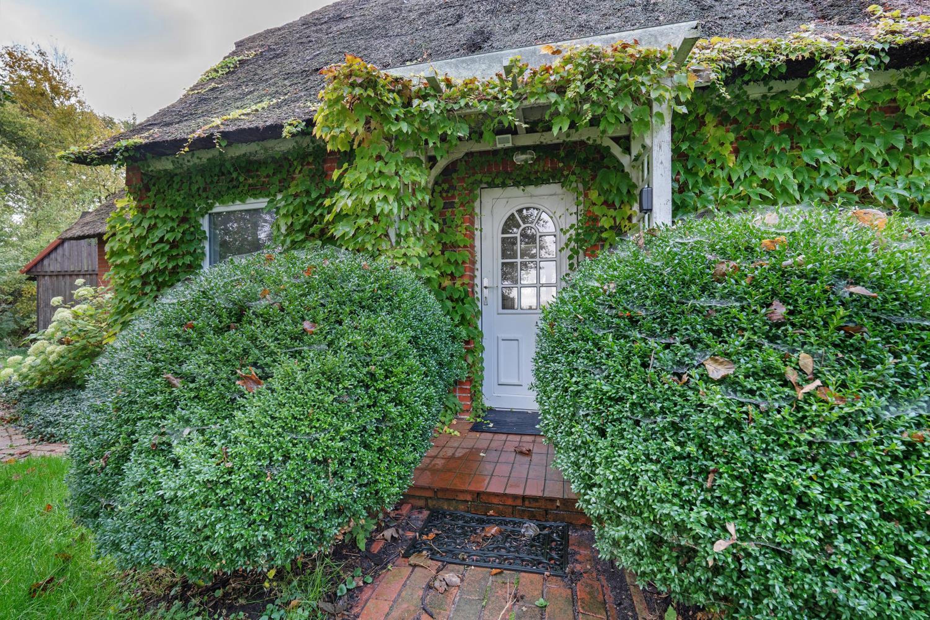 Reetdachchalet