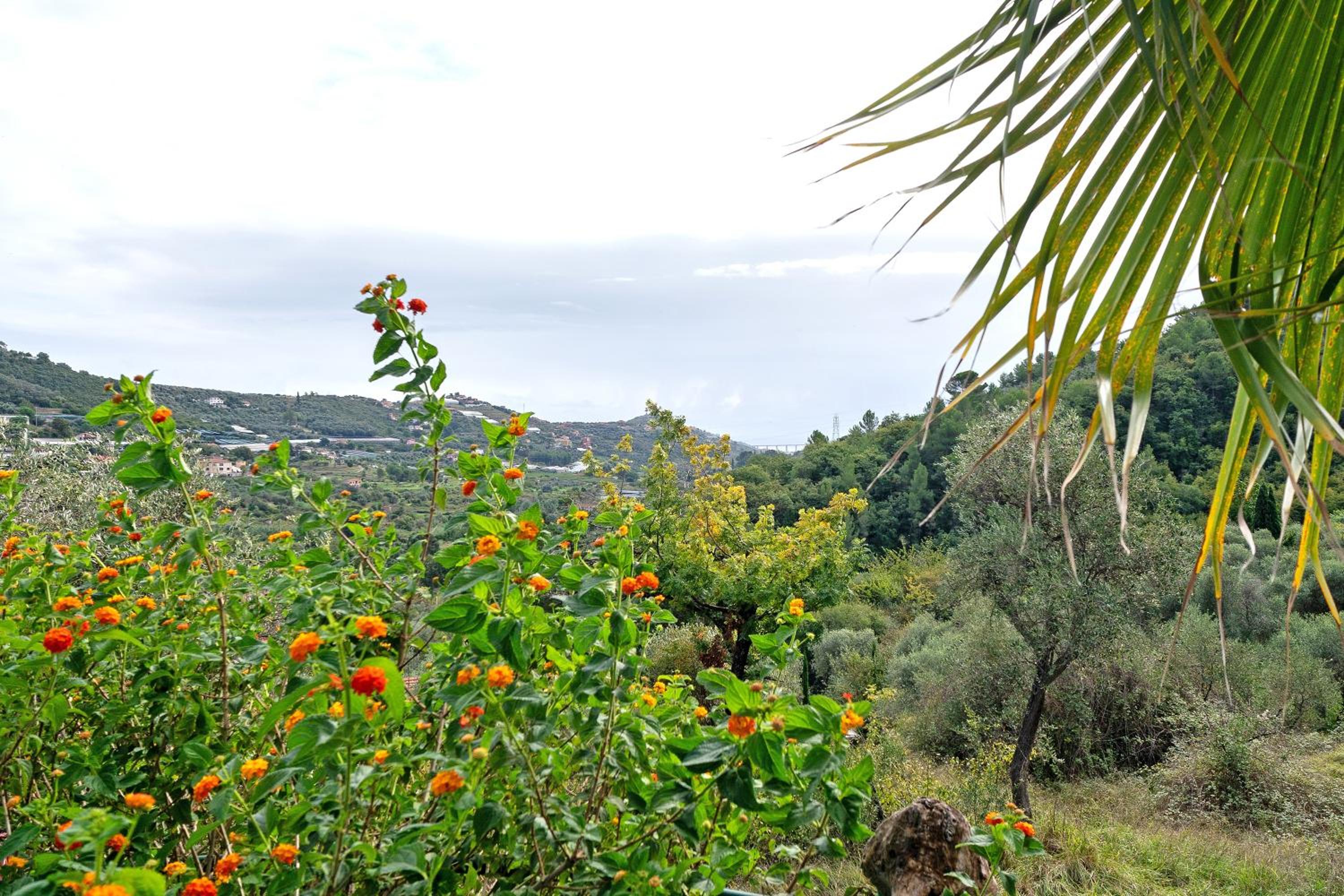 Casa Bilger view 4