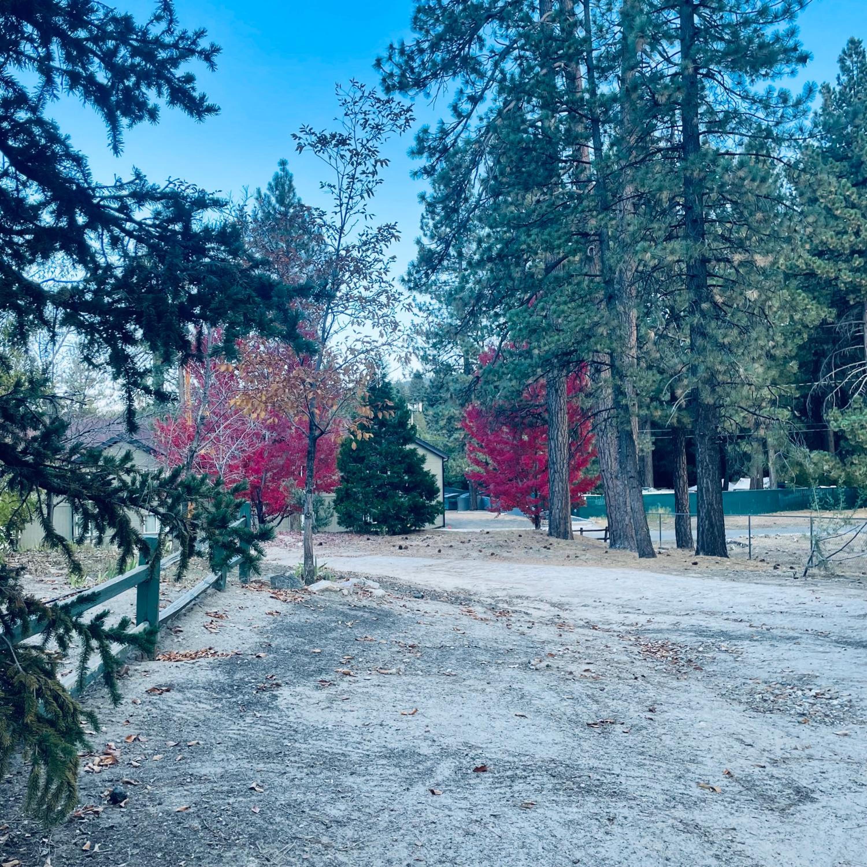 Golden Bear Cottages
