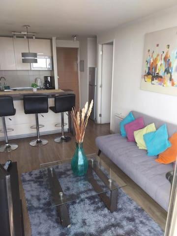 CENTRAL Apartamentos Santiago