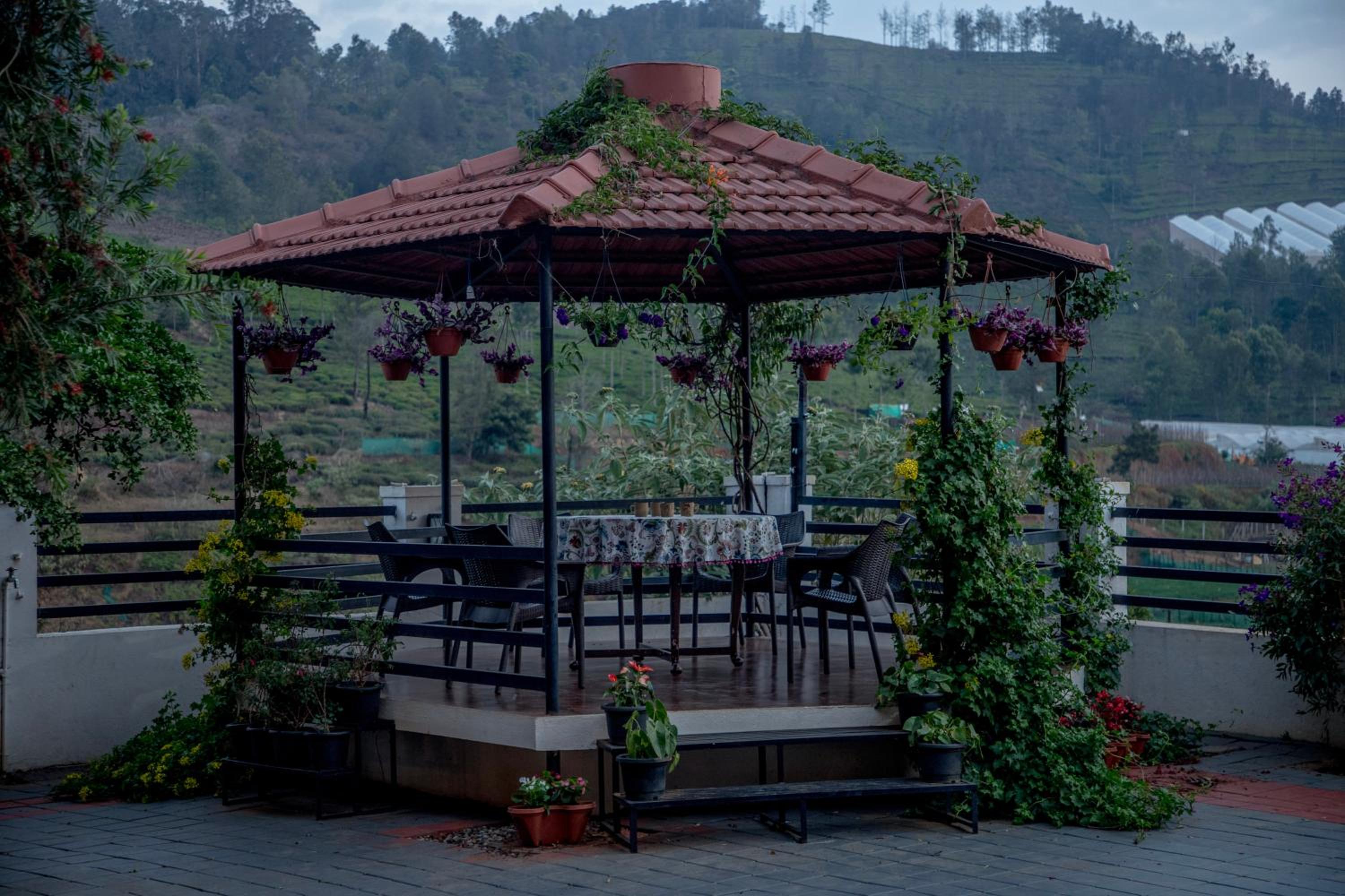 The Perfect Homestay