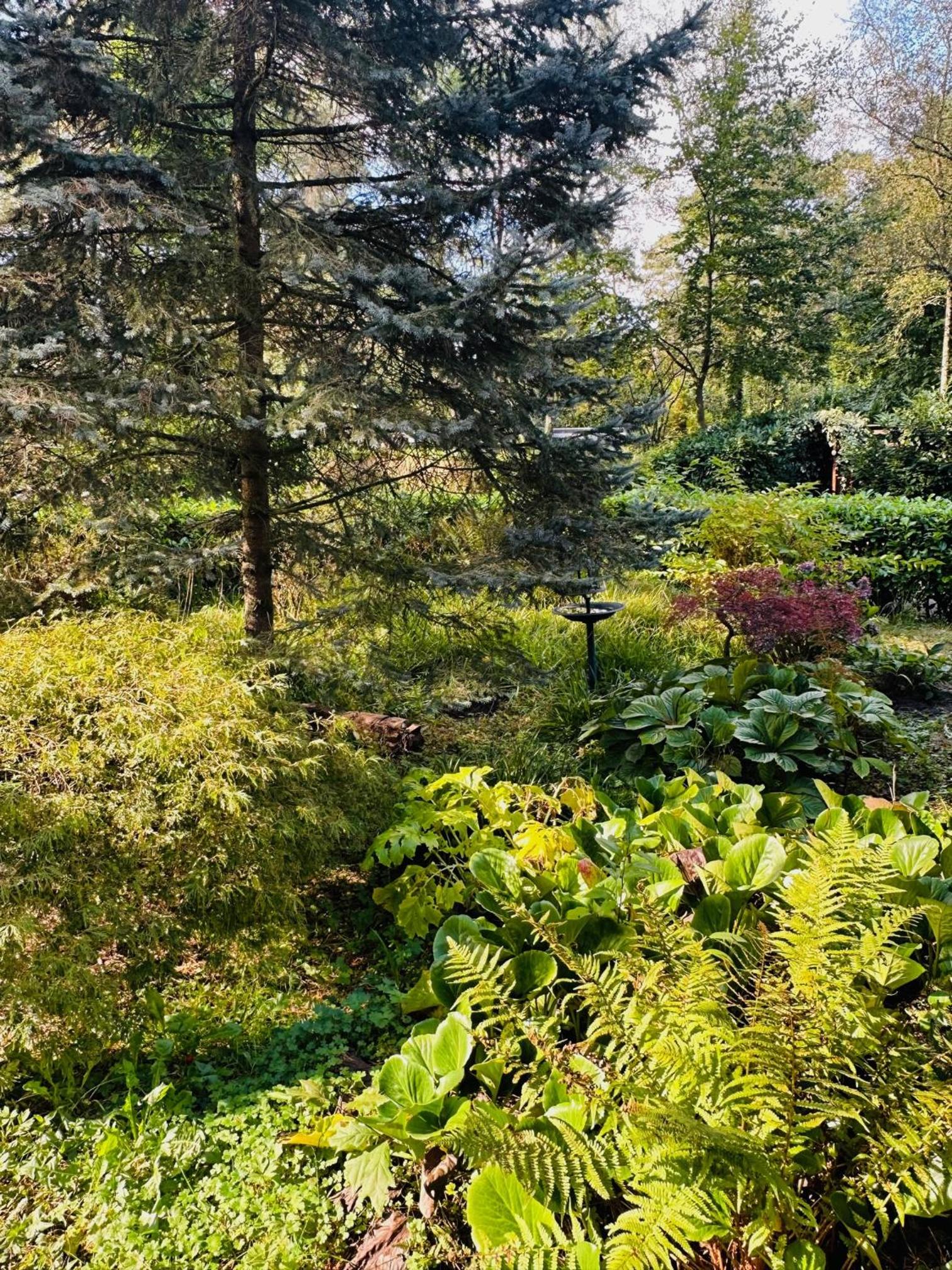 StayatSas Pippa, Luxe Boshuis met Grote Omheinde Tuin aan Vijver