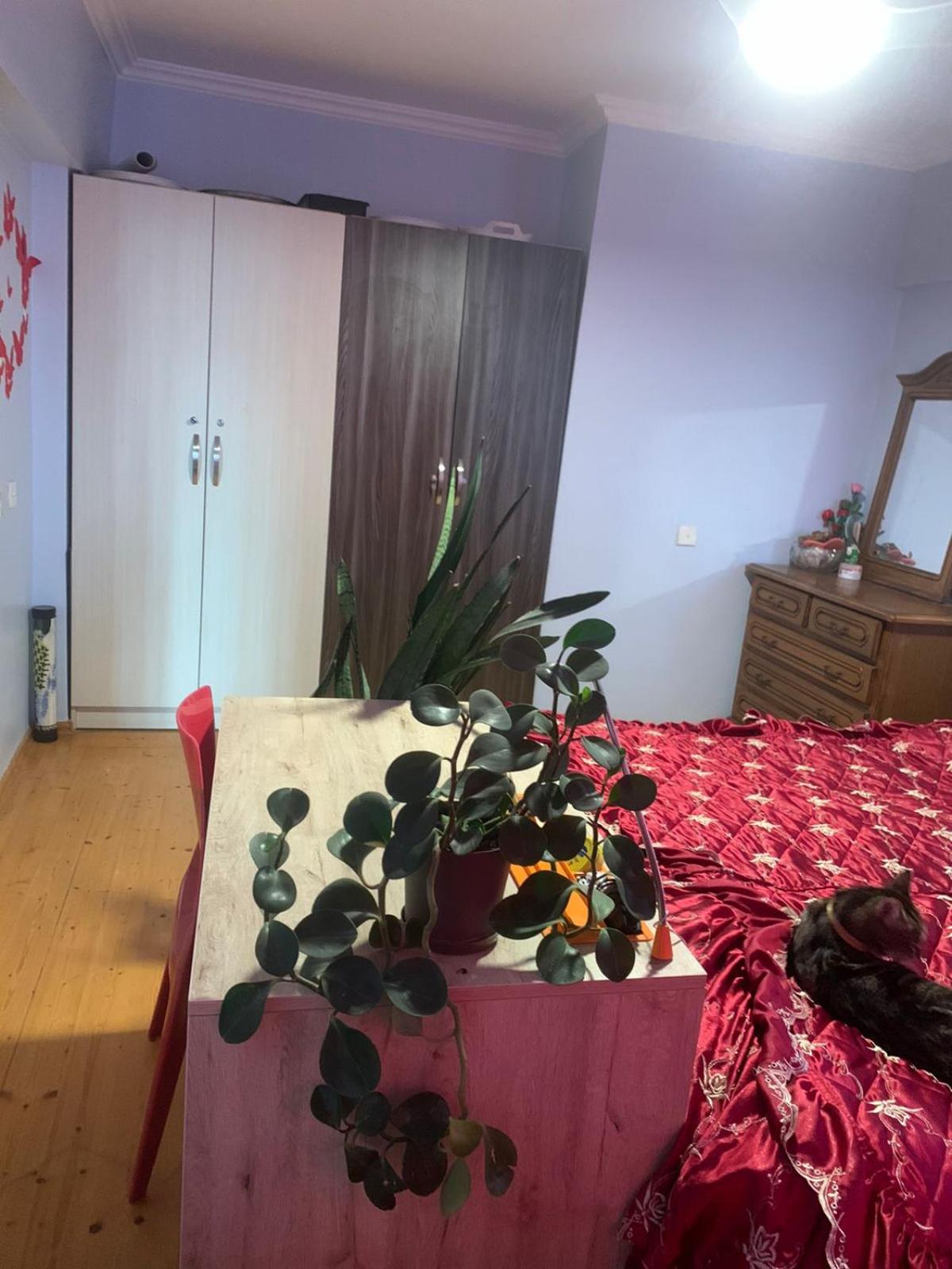 Stay in the Heart of the City Female Guests Only single bed