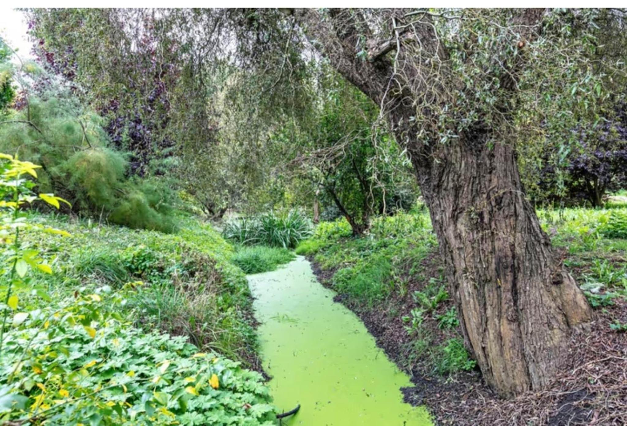 Natur an Metropole