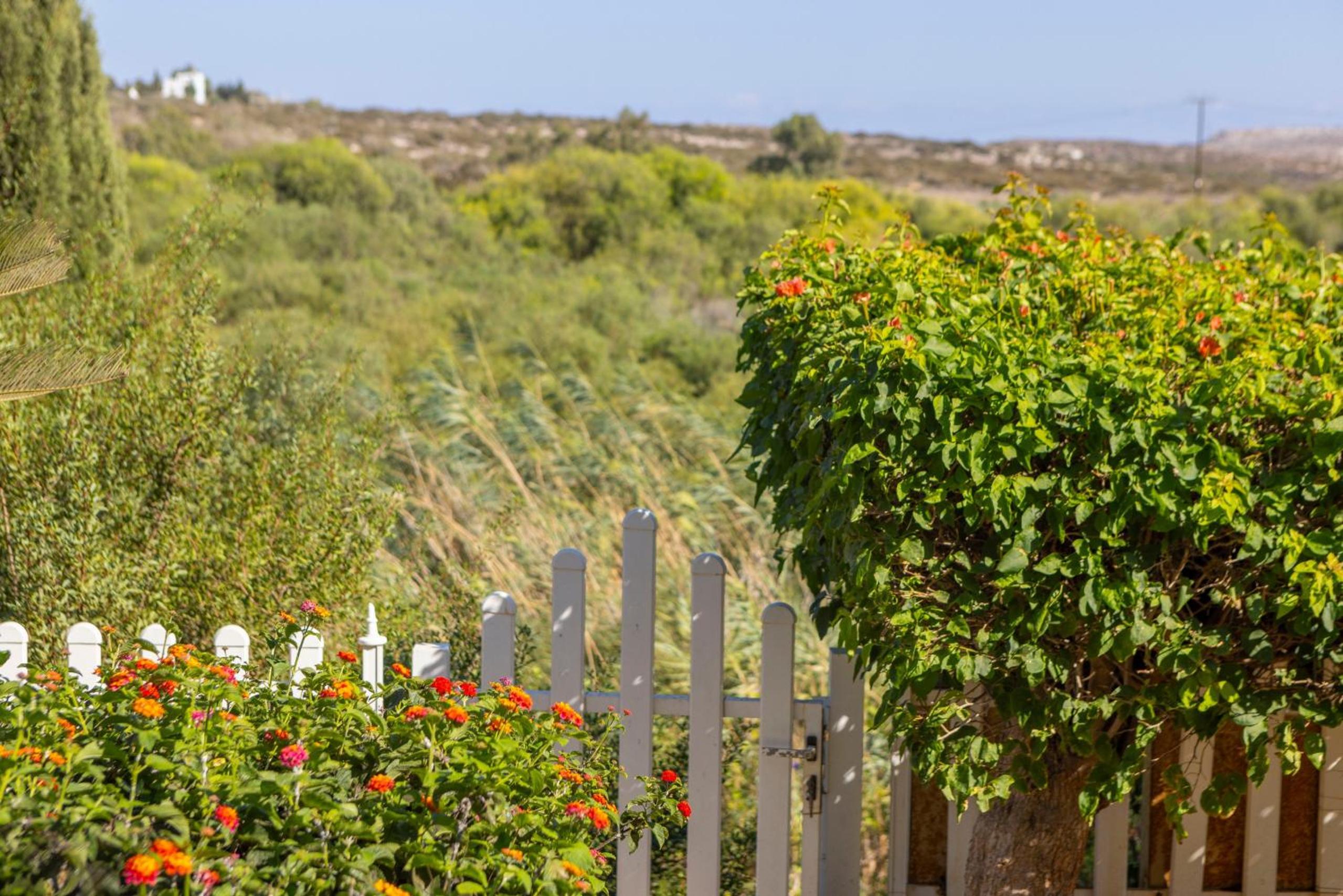 Ayia Napa Sycamore SeaView