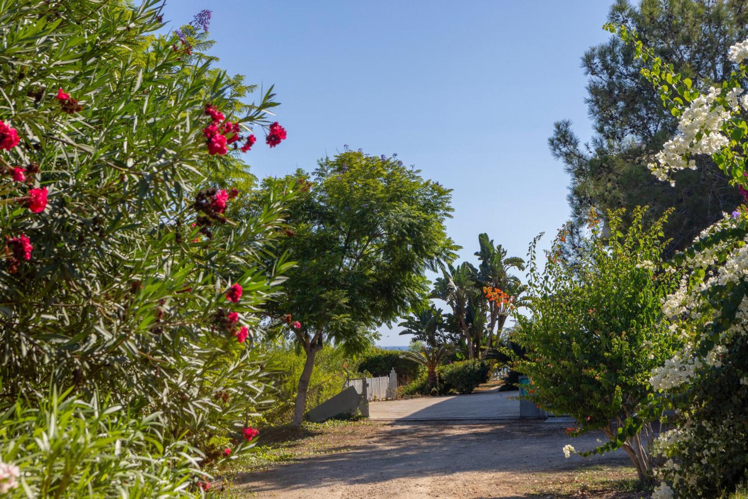 Ayia Napa Sycamore SeaView