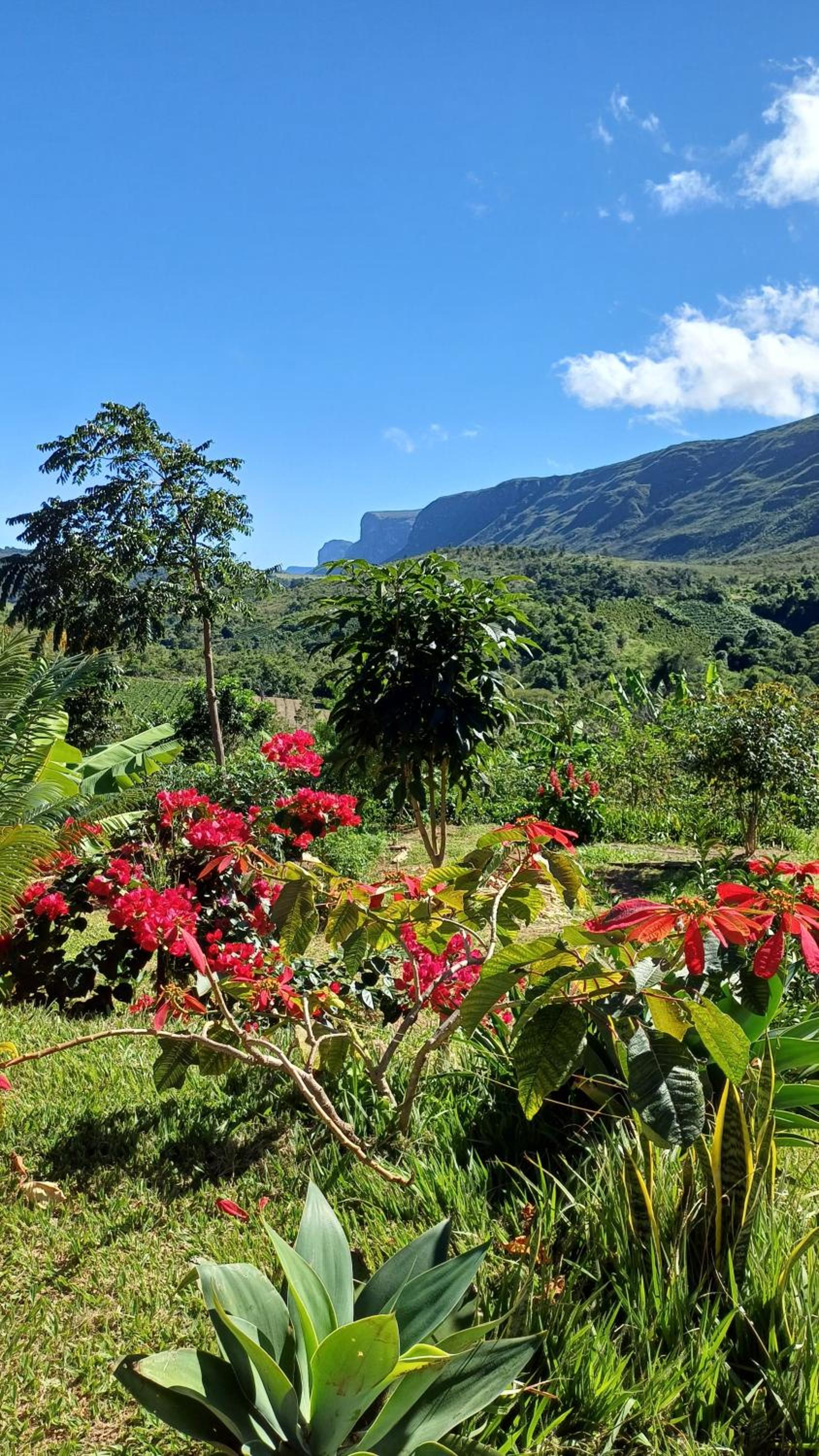 Chalés Canto da Graúna