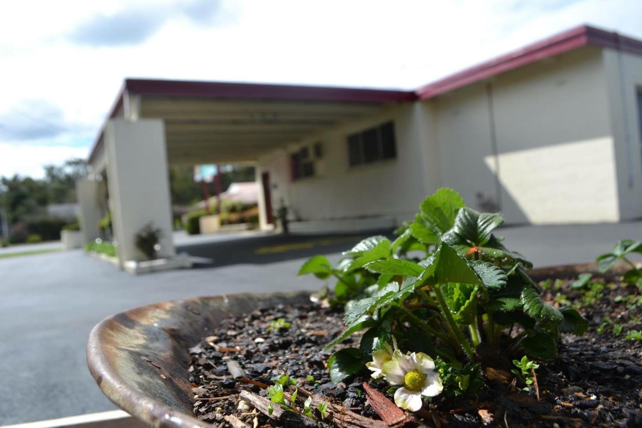 Wattle Motel