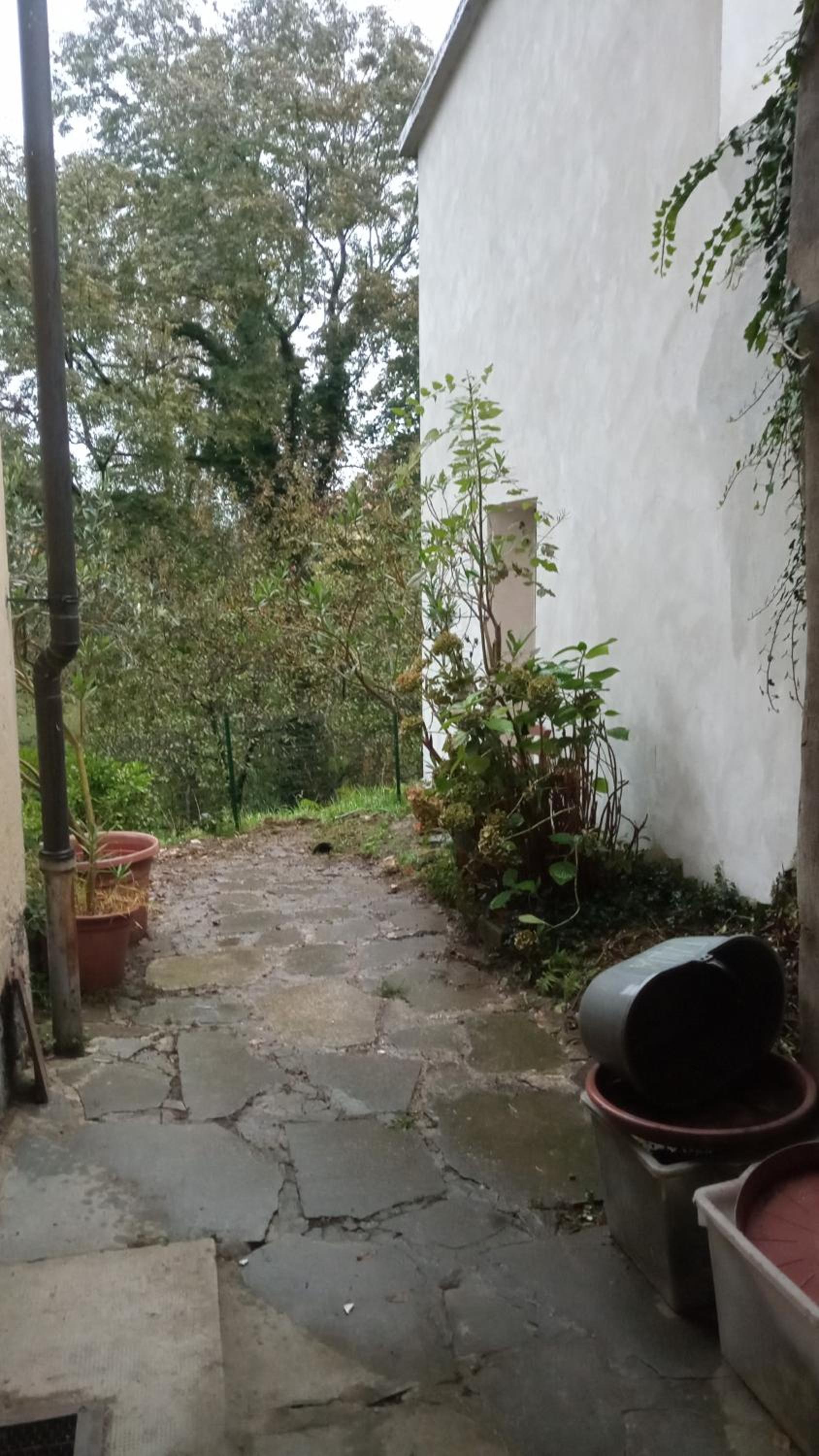Vicky's House