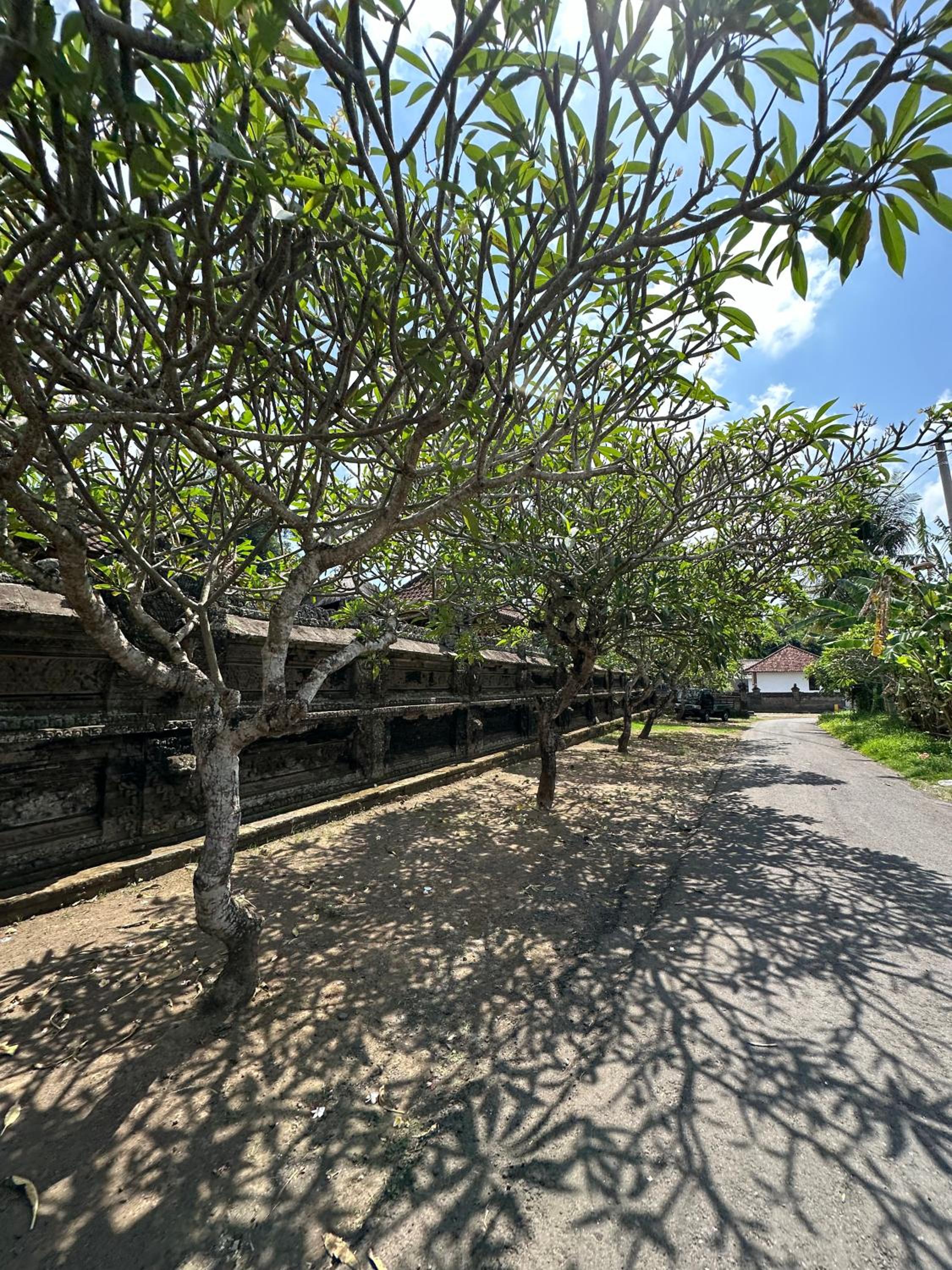 Hazel's House