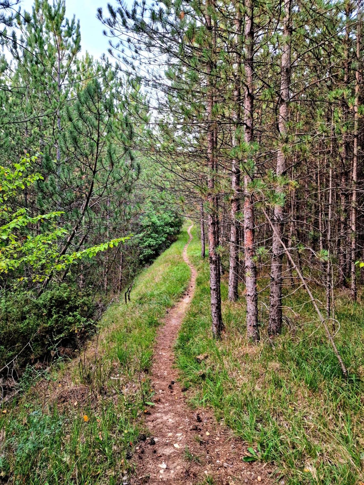 Photo 24