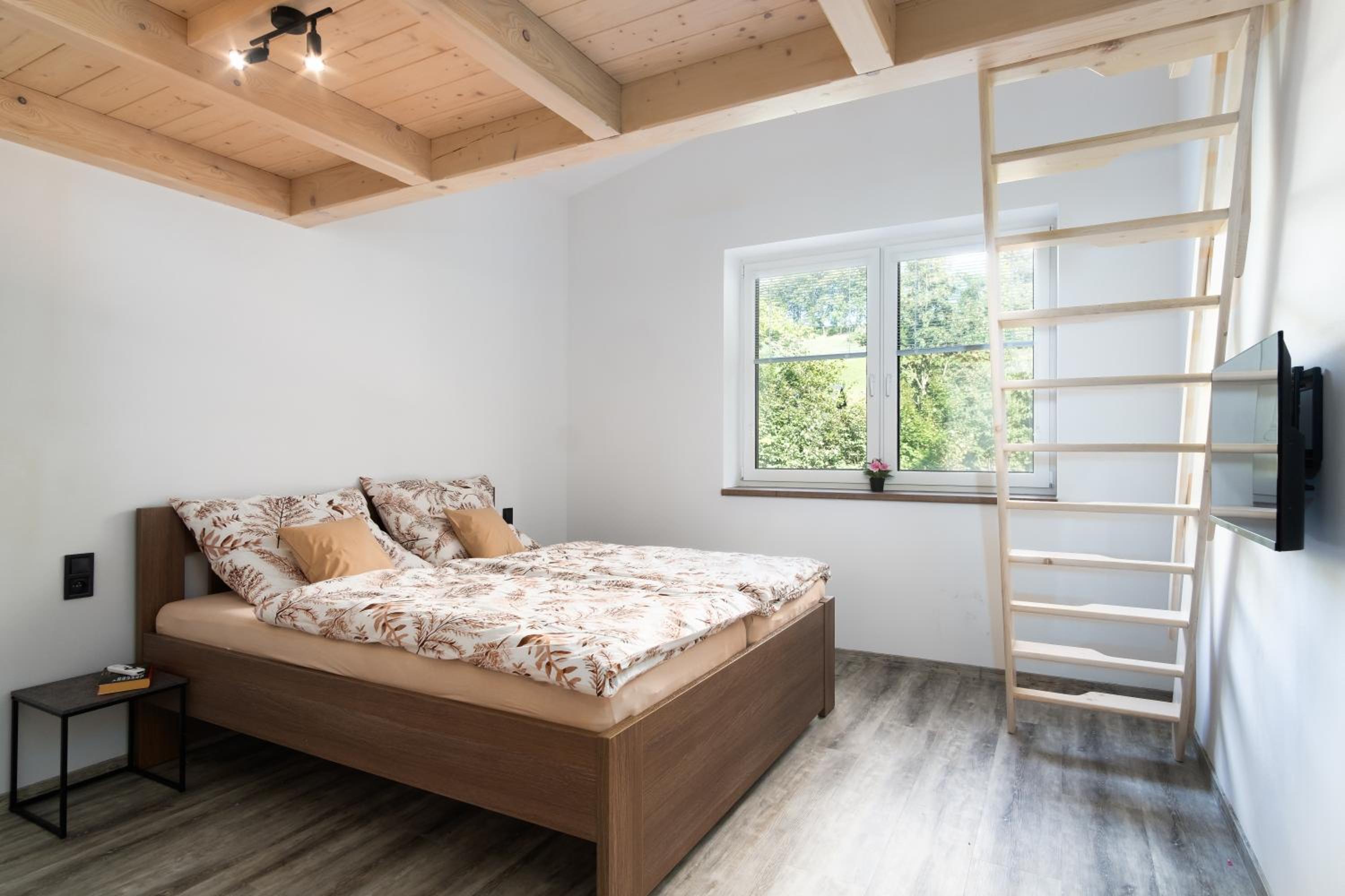 RONI Apartments Krkonoše