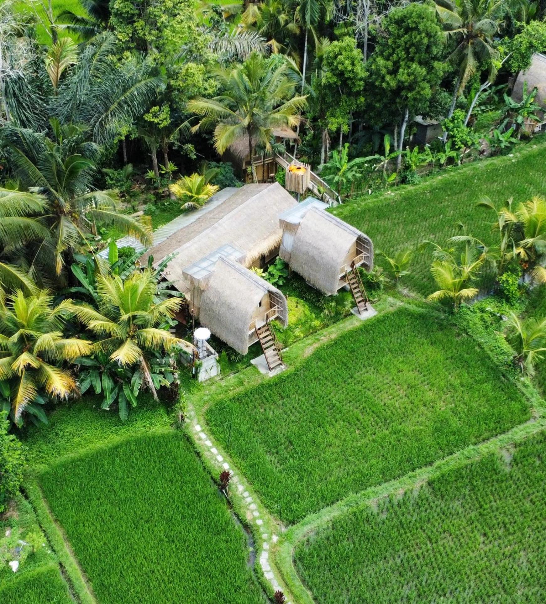 Kawig Bamboo House - Ricefield view, Eco Bamboo Home view 2