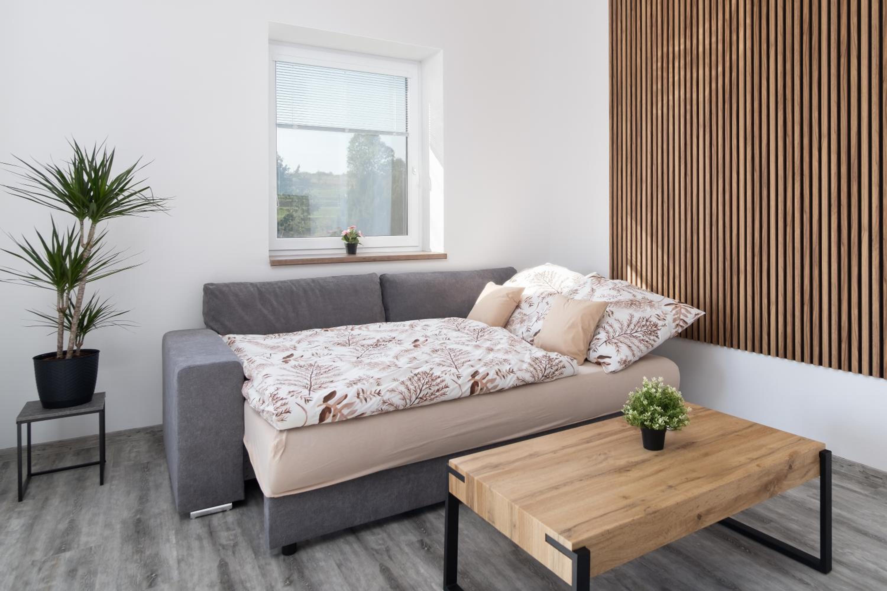 RONI Apartments Krkonoše