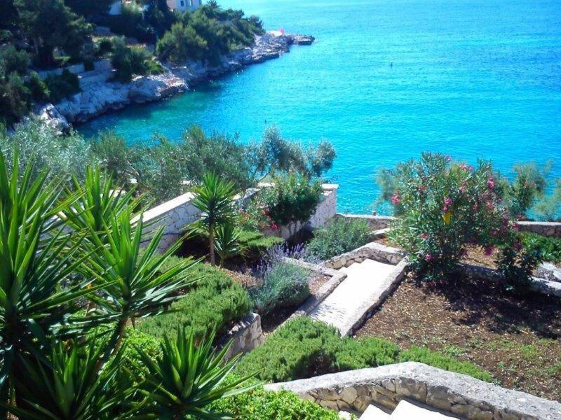 House Sreca view 3