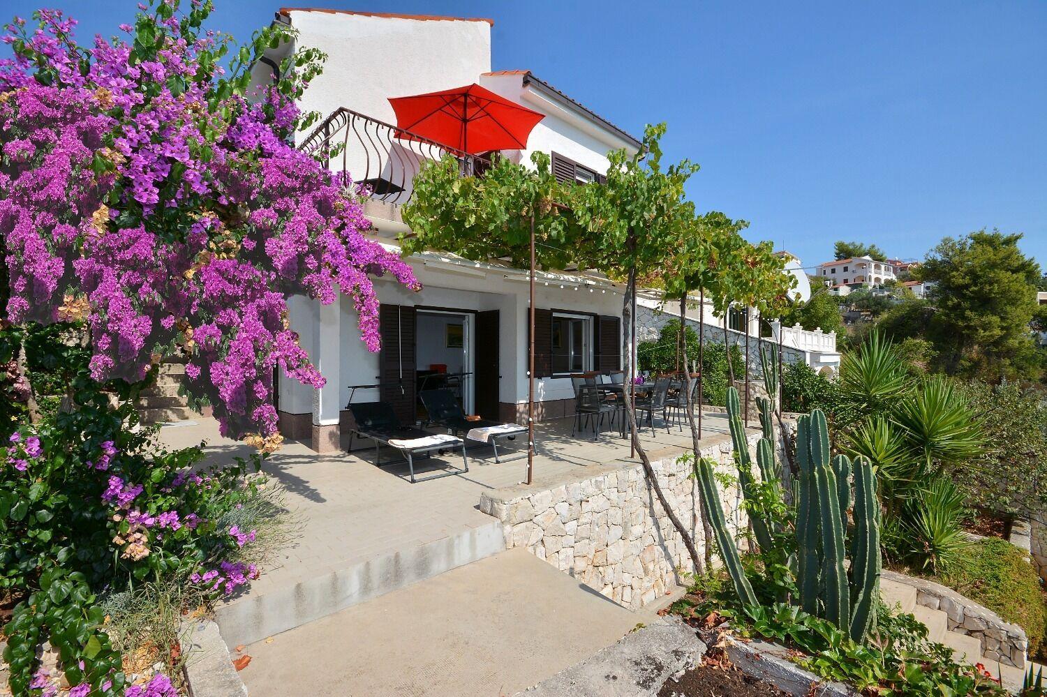 House Sreca view 5