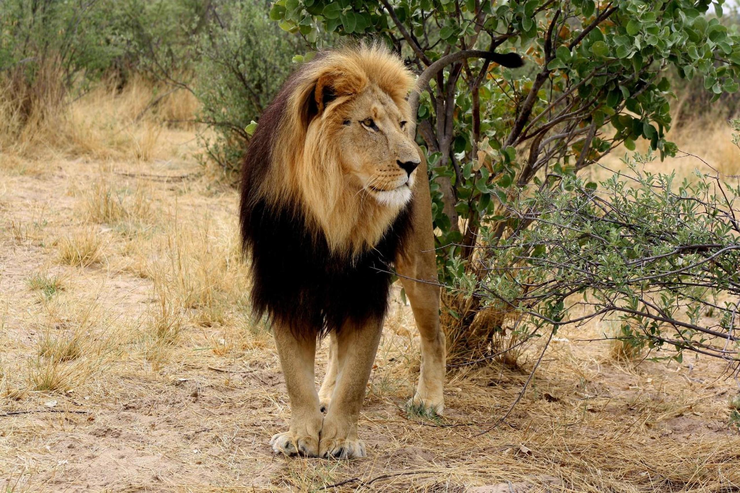 Grassland Safari Lodge