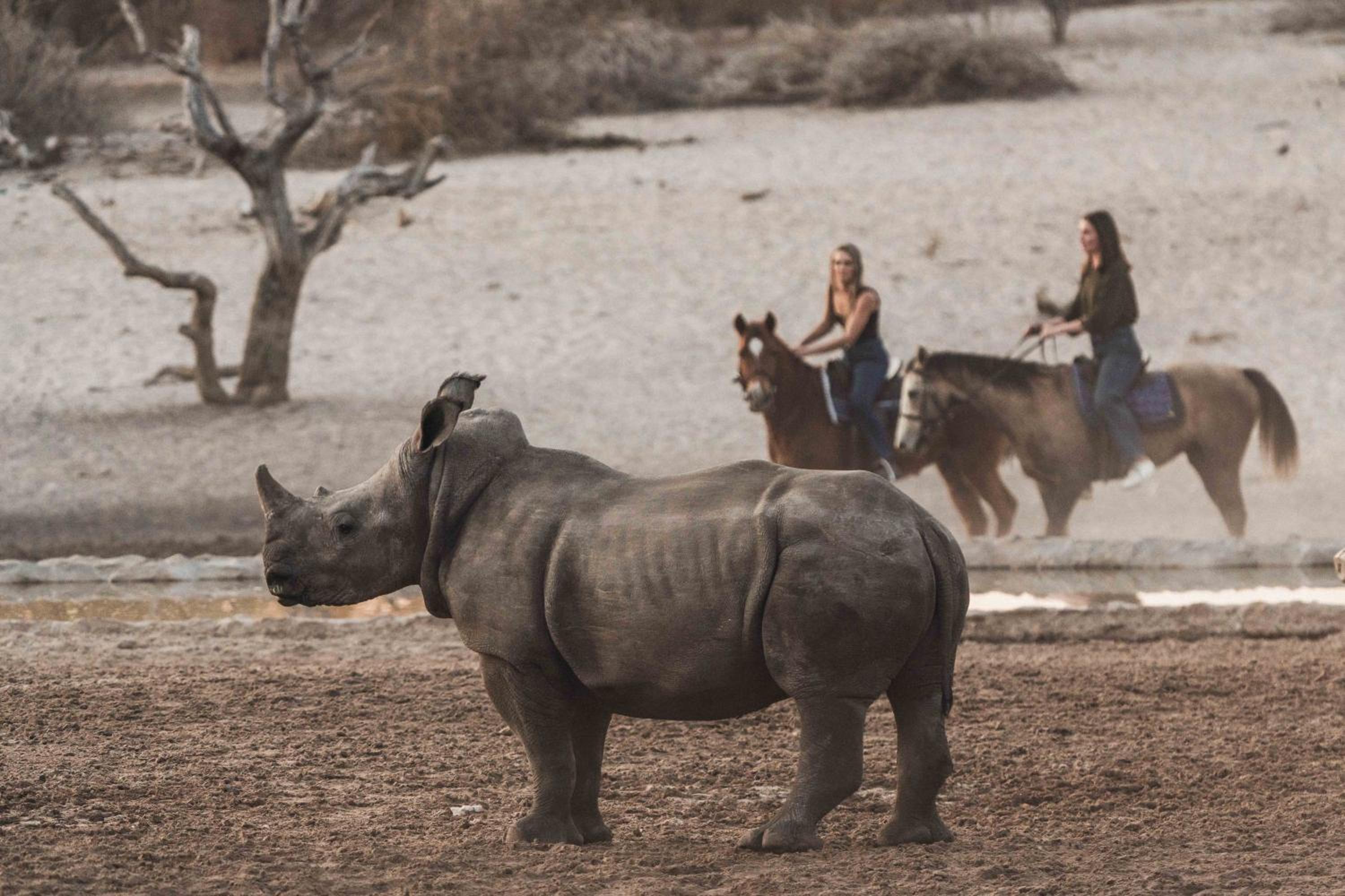 Grassland Safari Lodge