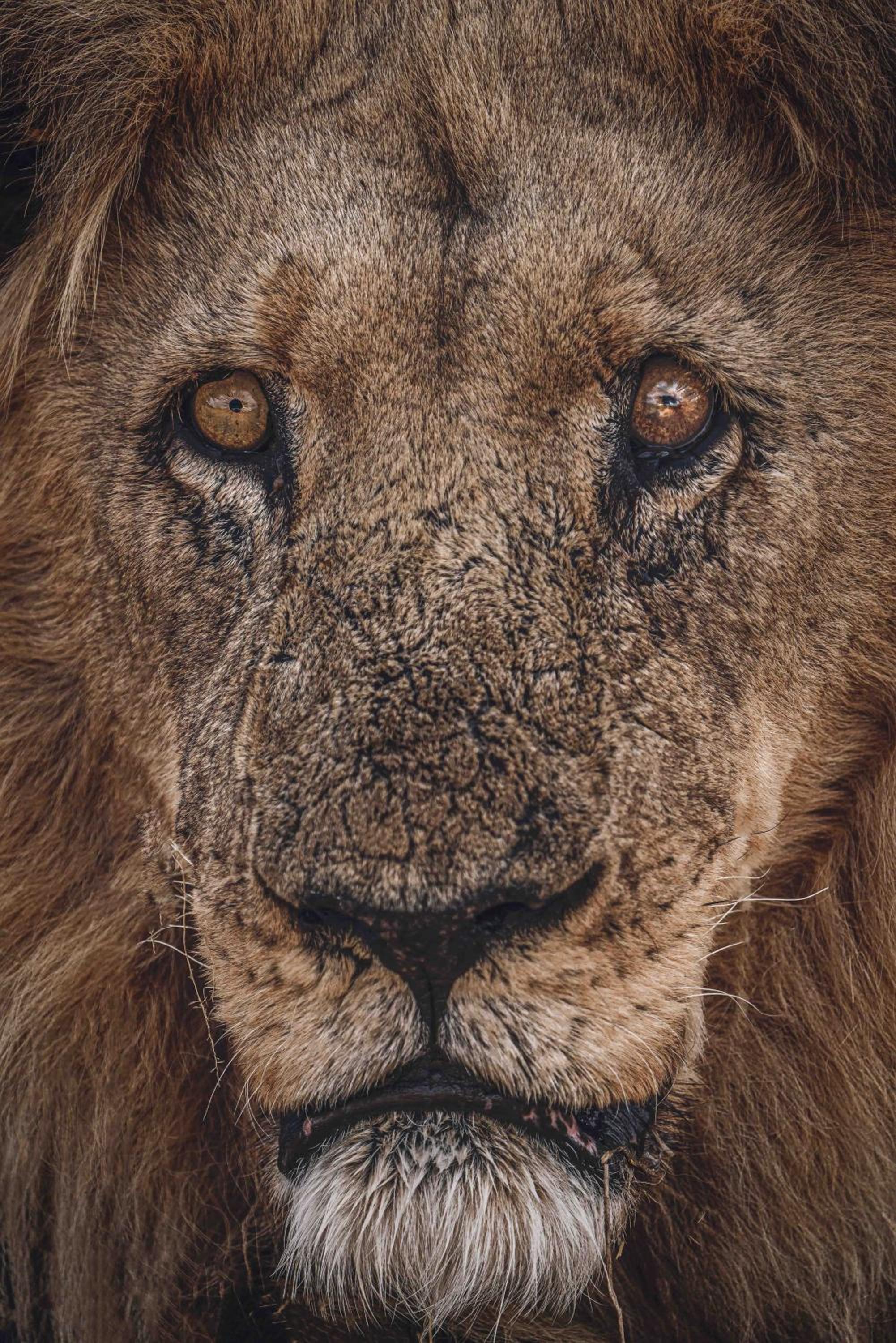 Grassland Safari Lodge