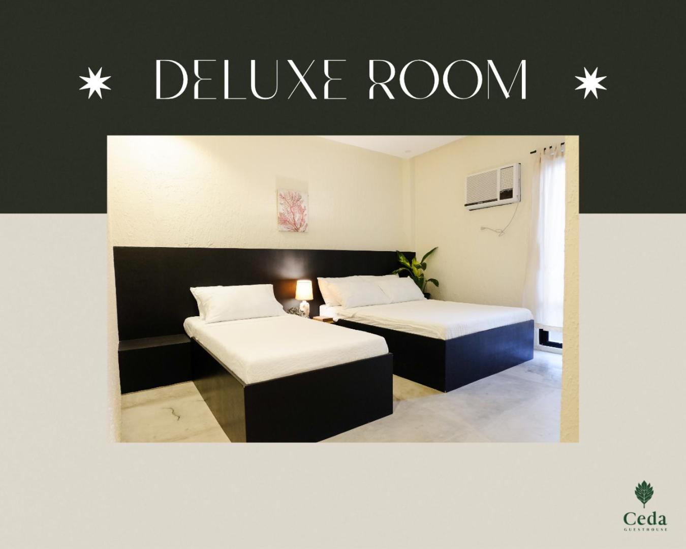 Ceda Guest House by HiveRooms view 3