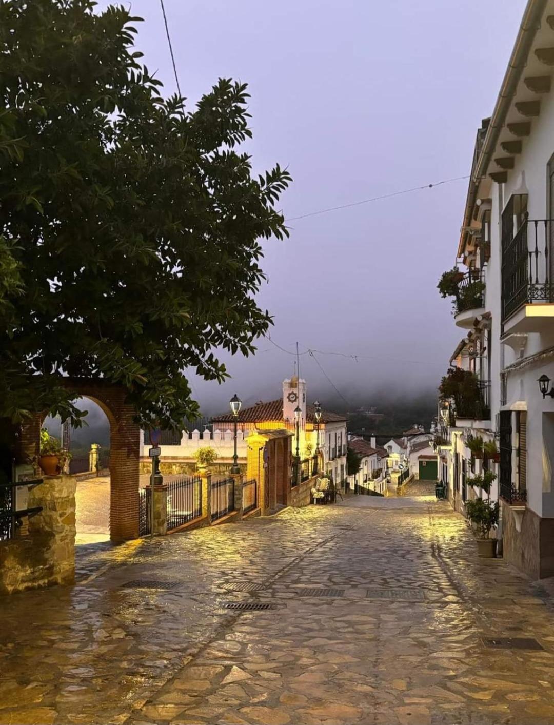 El Pinsapo