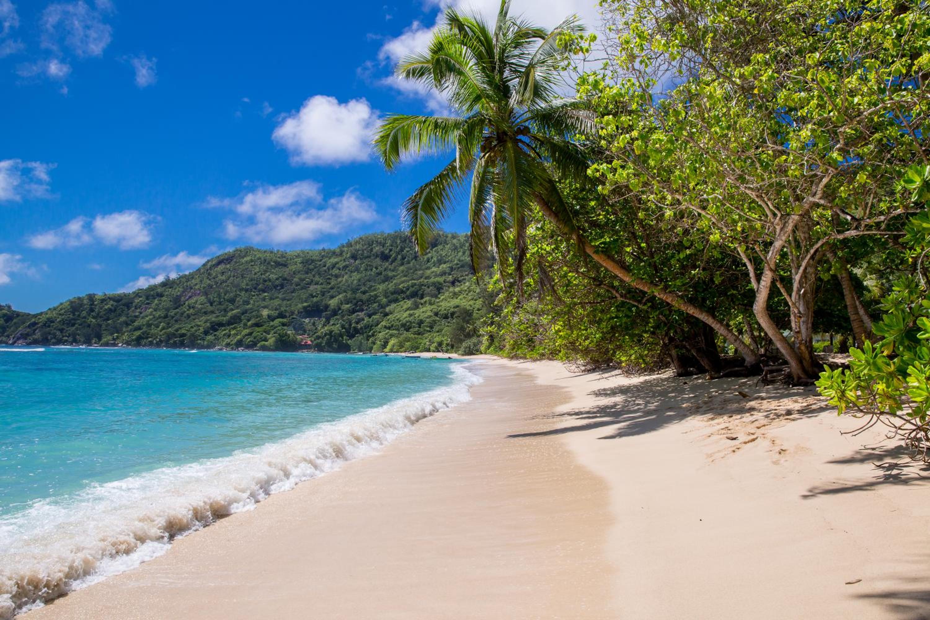 Chalets d'Anse Forbans SelfCatering photo 2