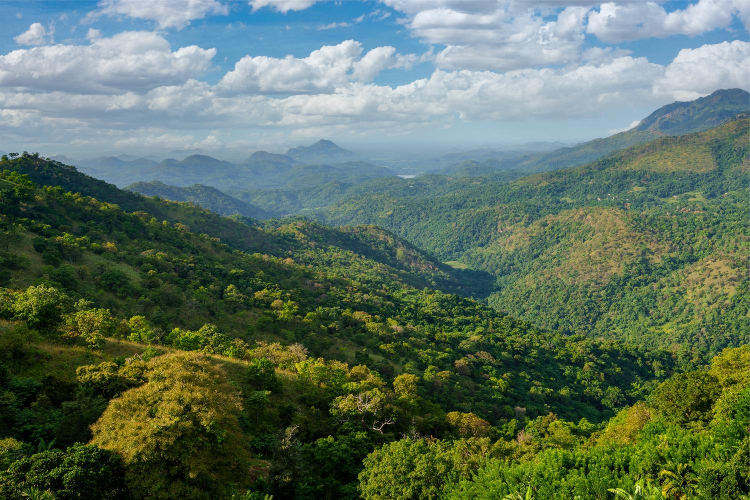 Majentra Ella view 3