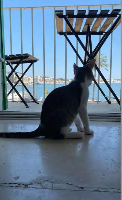 Depandance sul porto