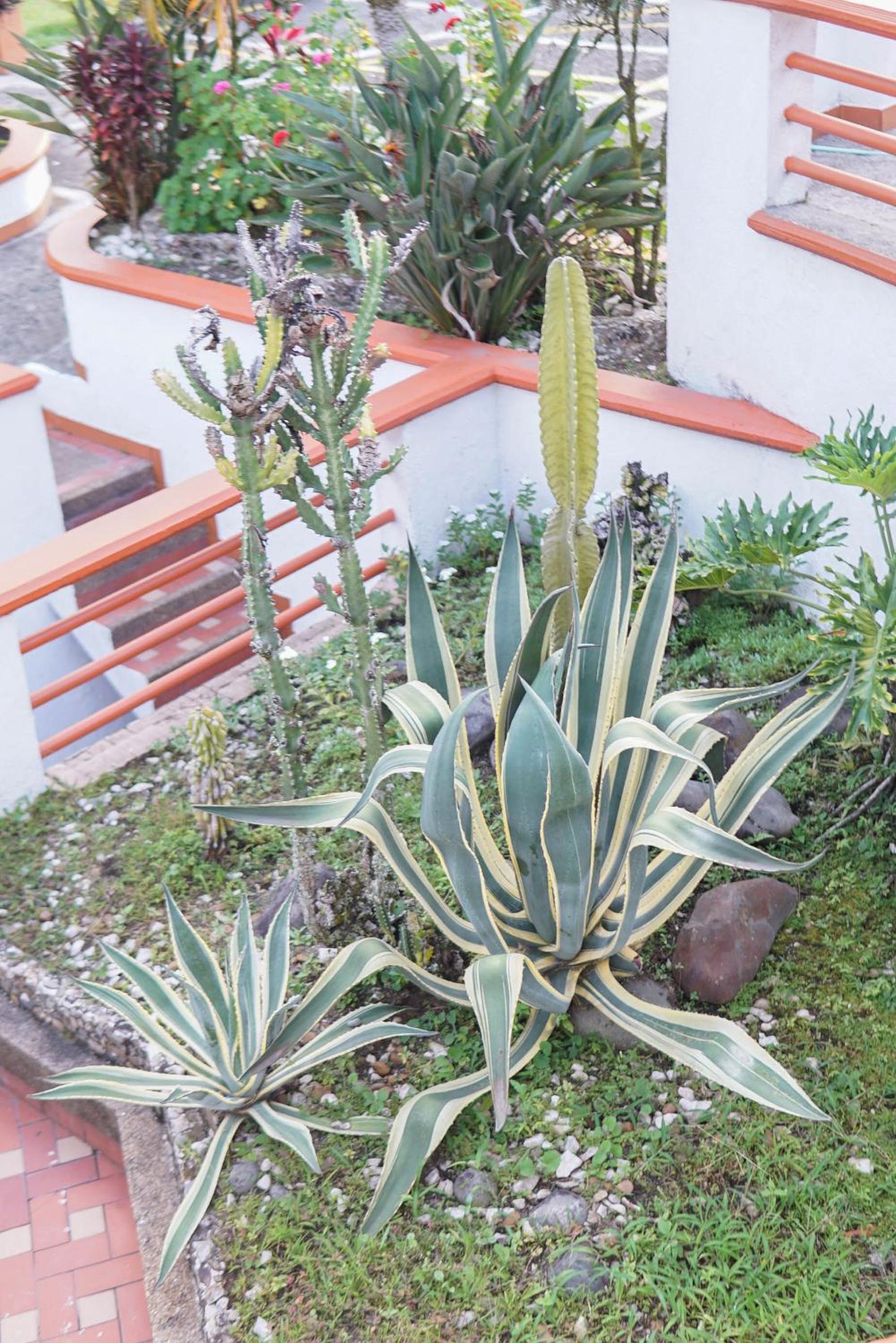 Finca San Francisco