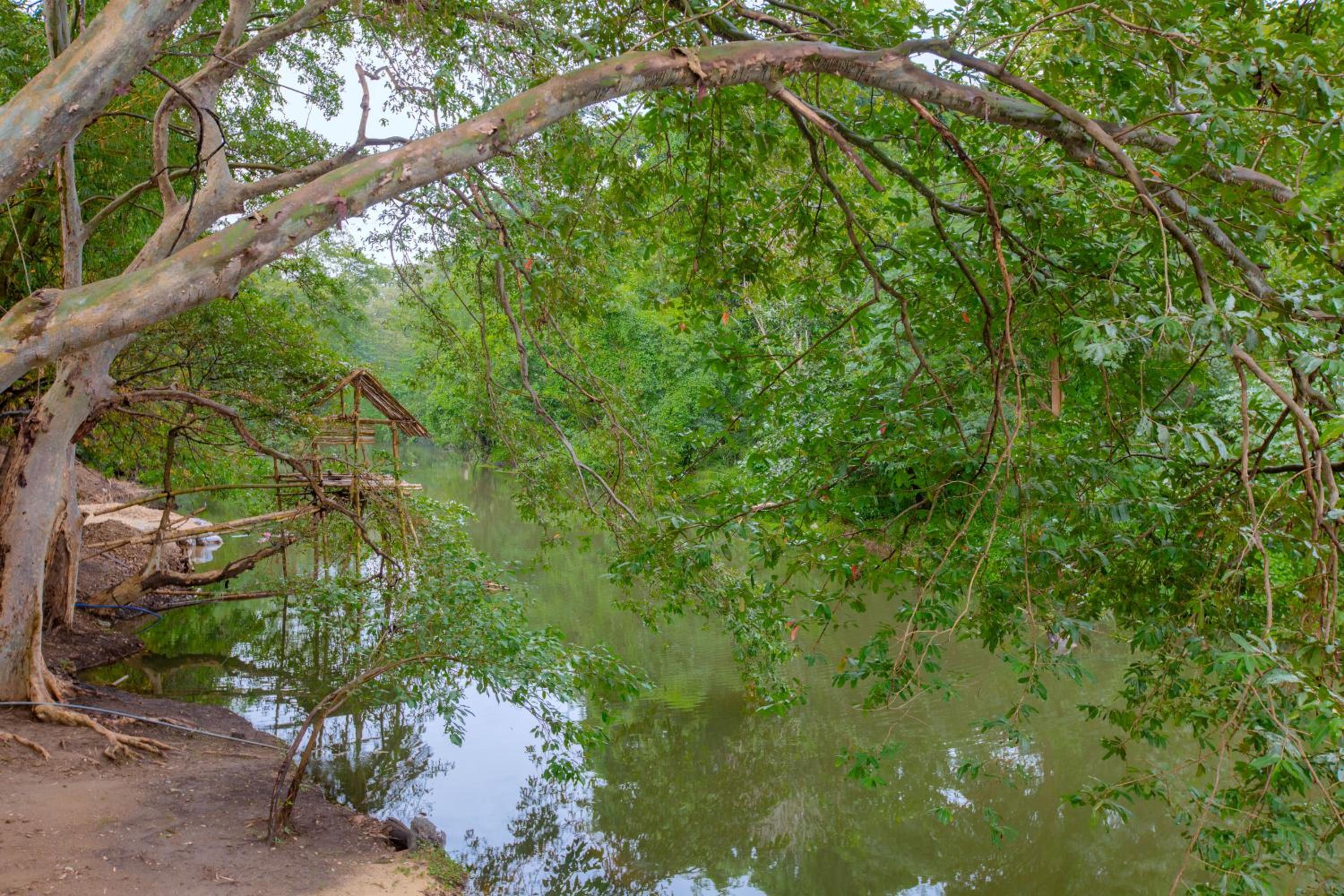 Yala River Face Inn