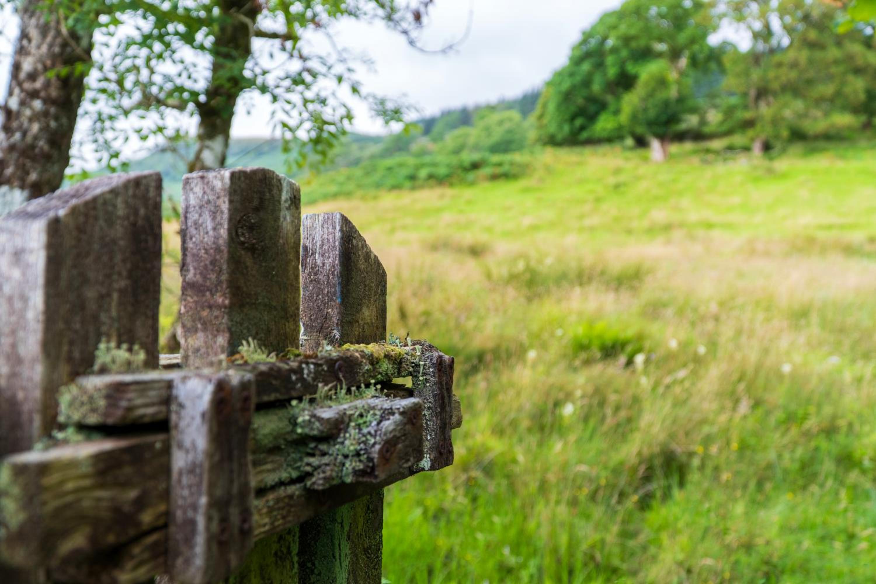 Killean Farmhouse Cottages