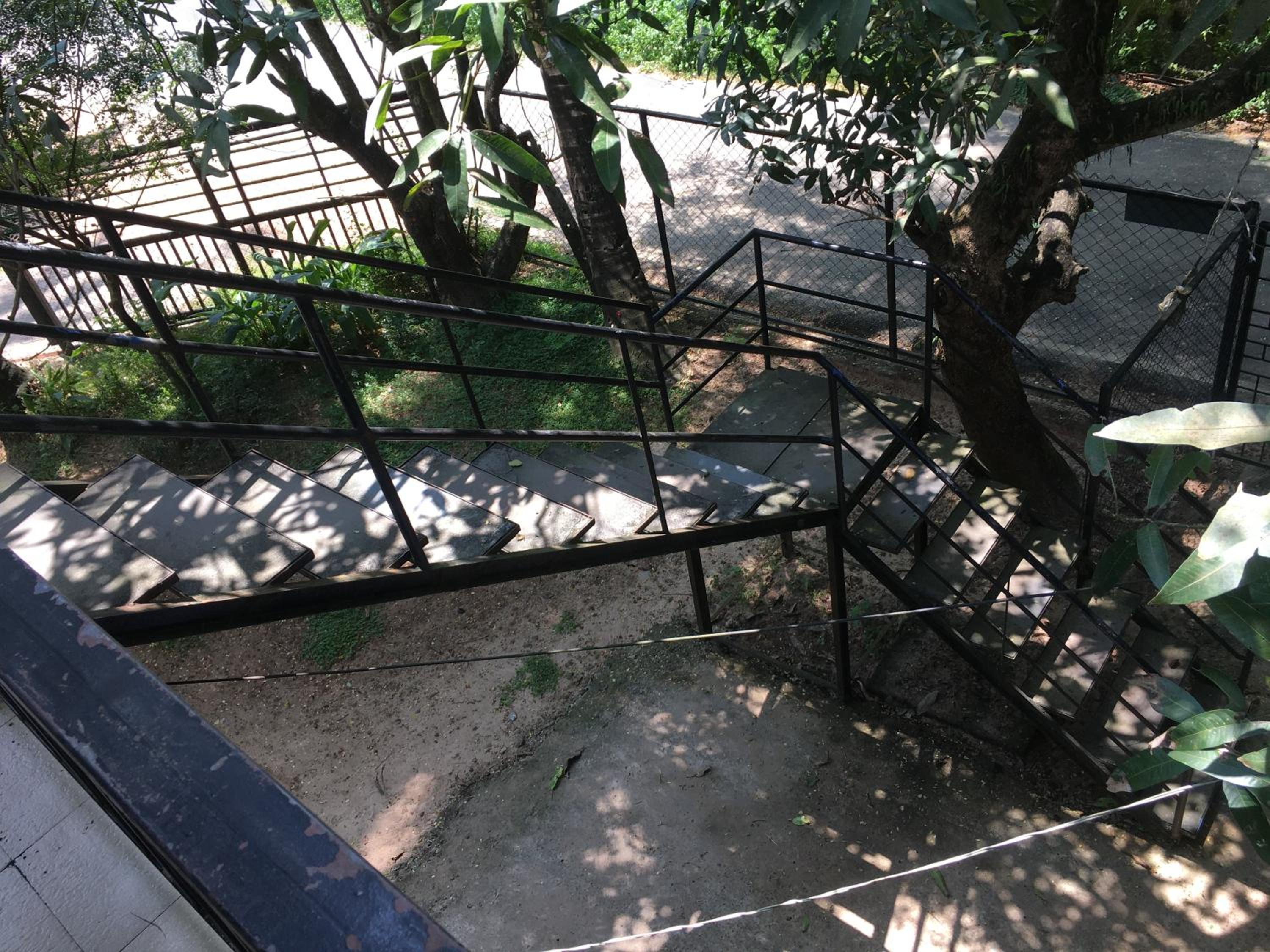 Photo 26