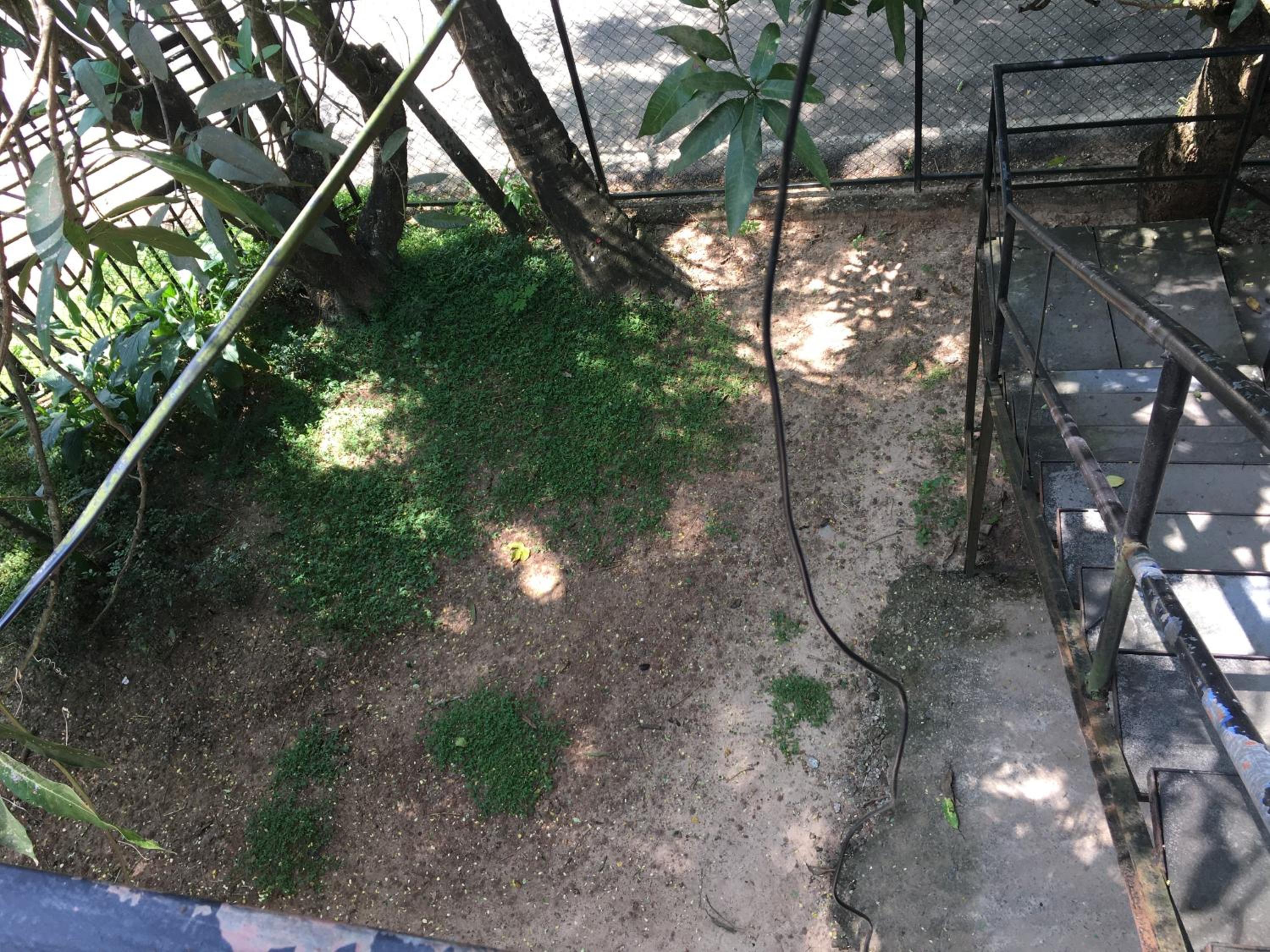 Photo 31