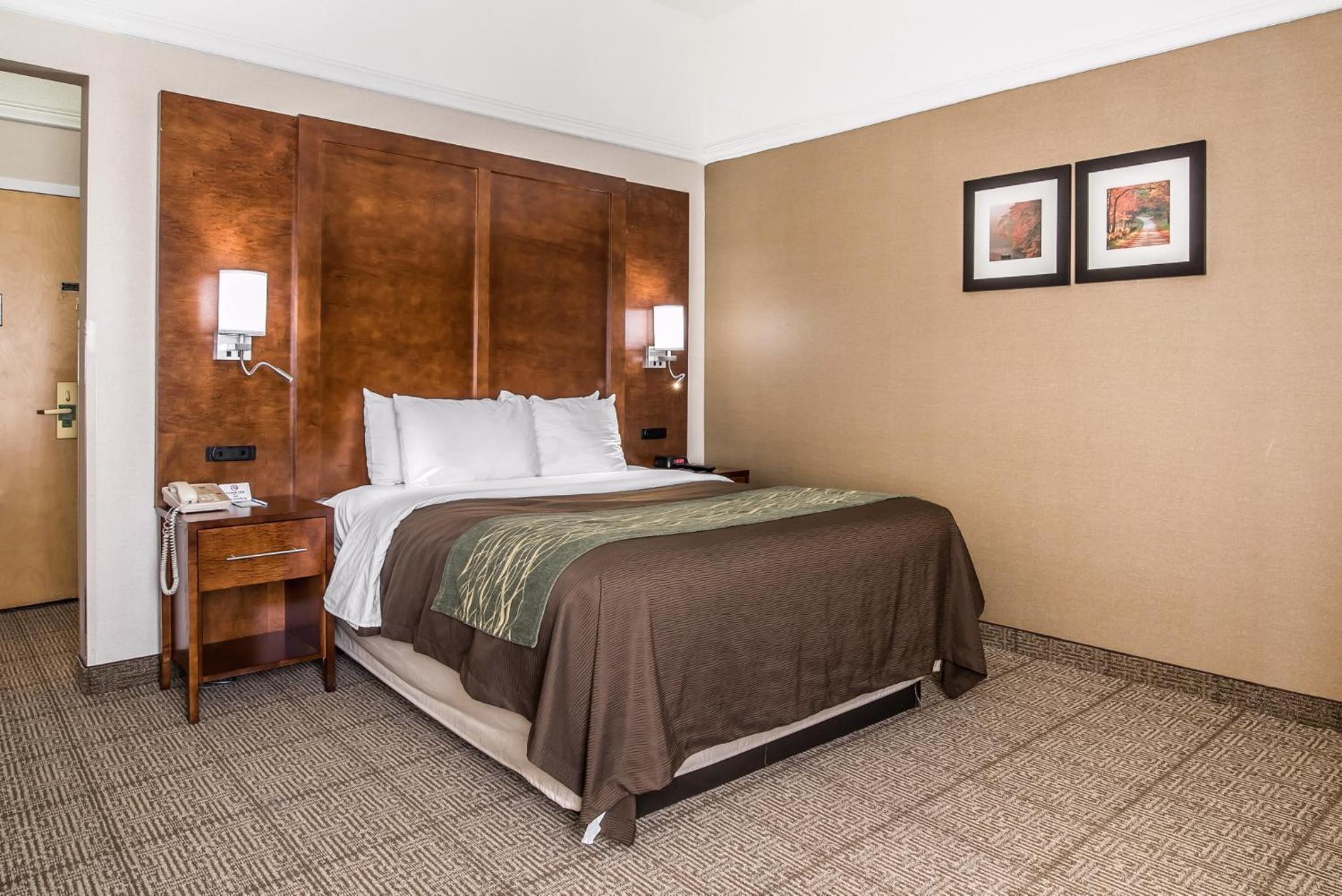 Rutland Vacations - Comfort Inn Rutland - Killington - Property Image 24