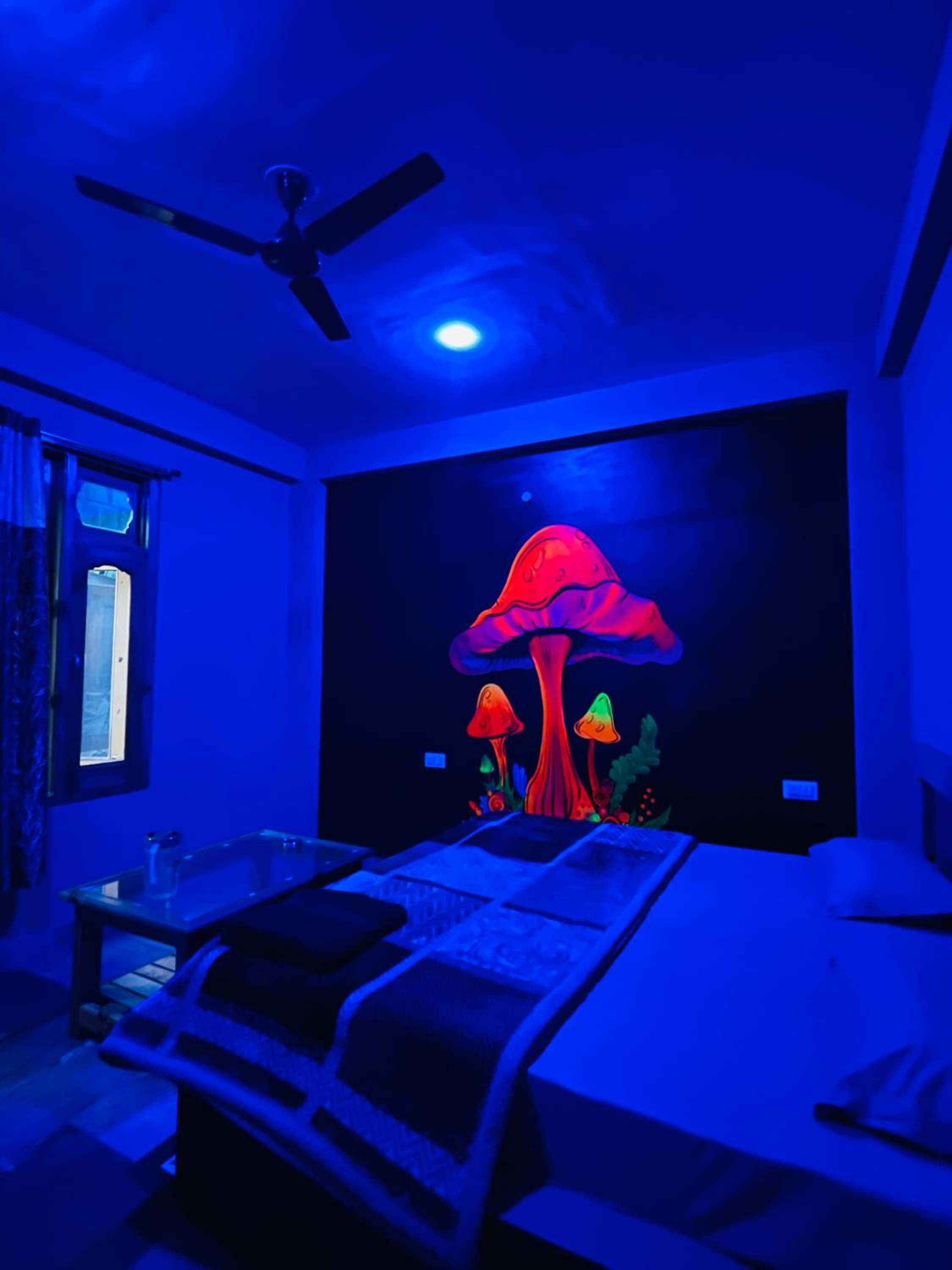 Trippy Homestay