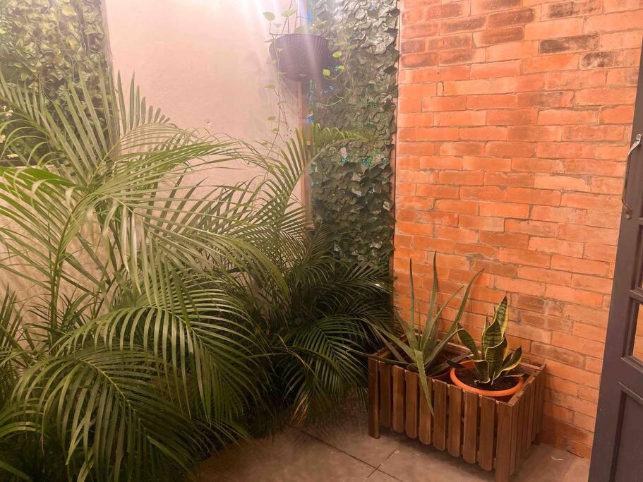 Colonial leyton apartment
