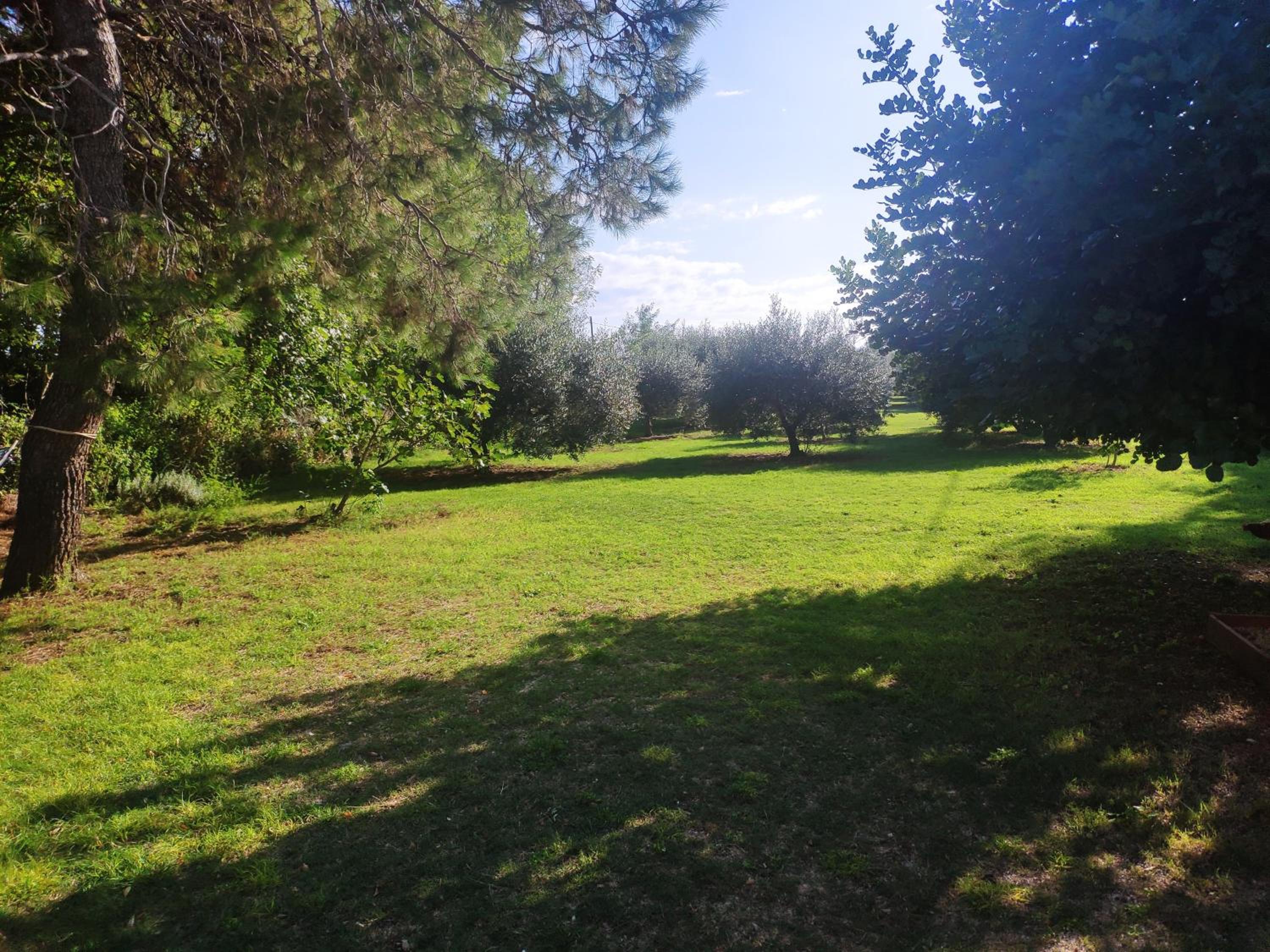 Photo 38