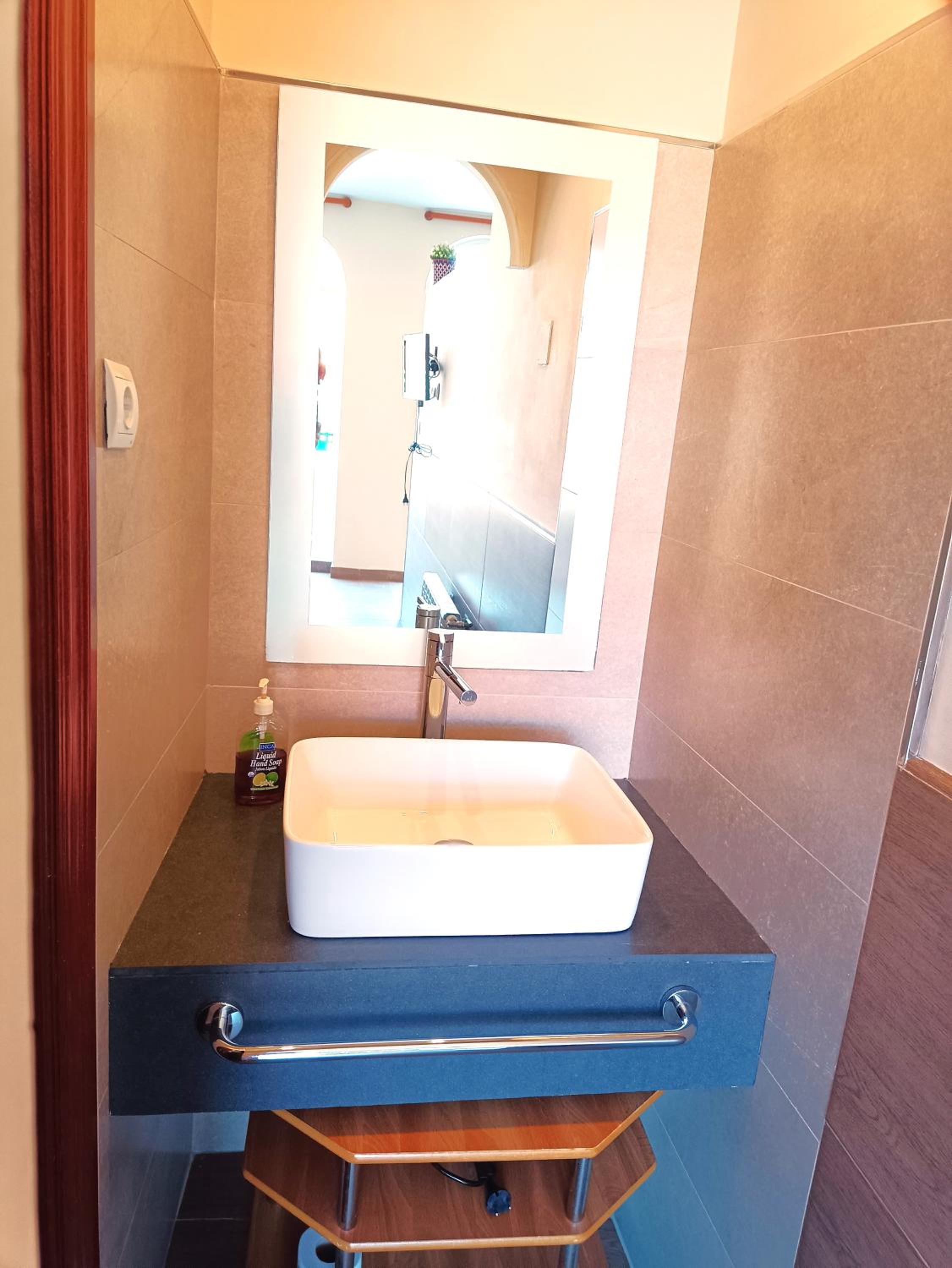 Flamencos del cerrado