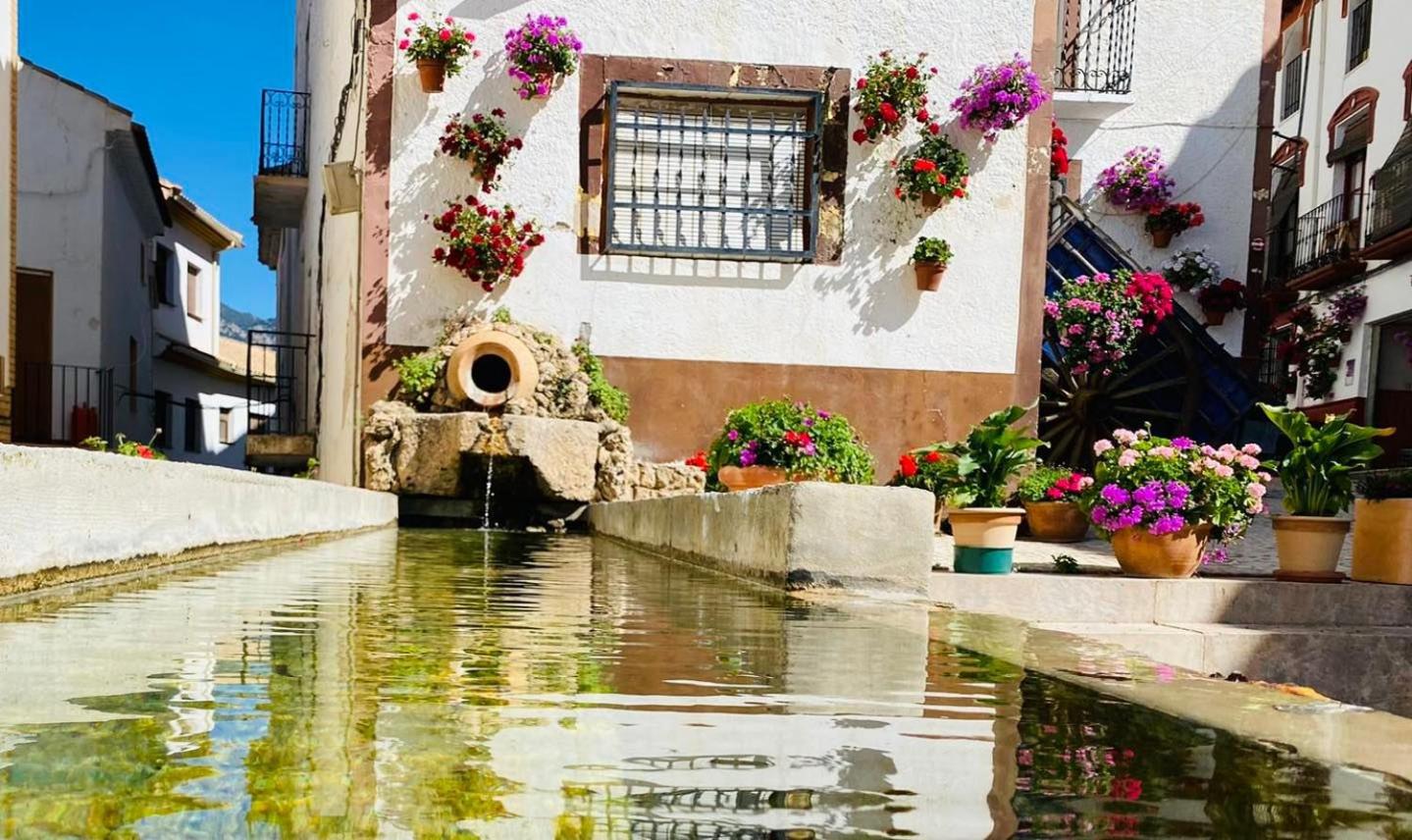 Casa el Árbol