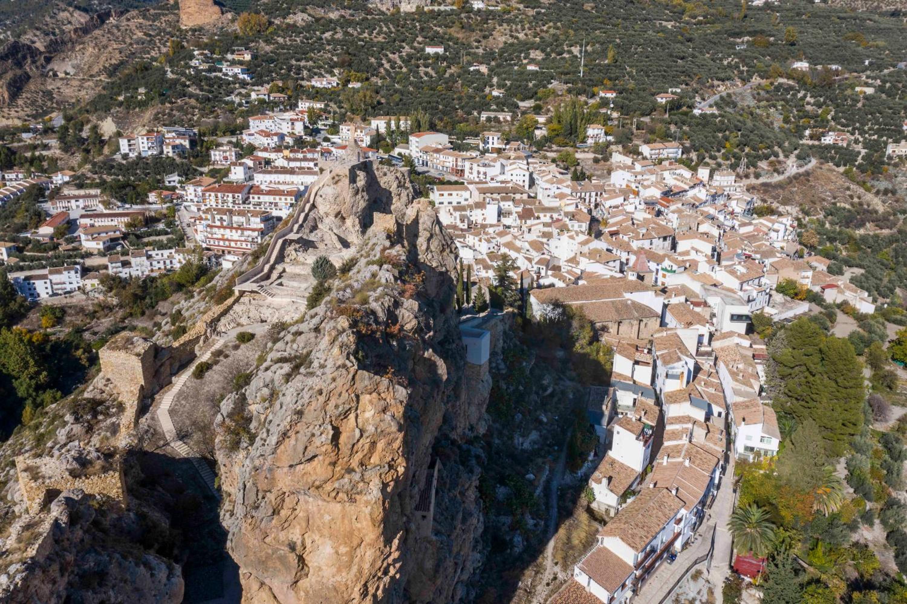 Casa el Árbol