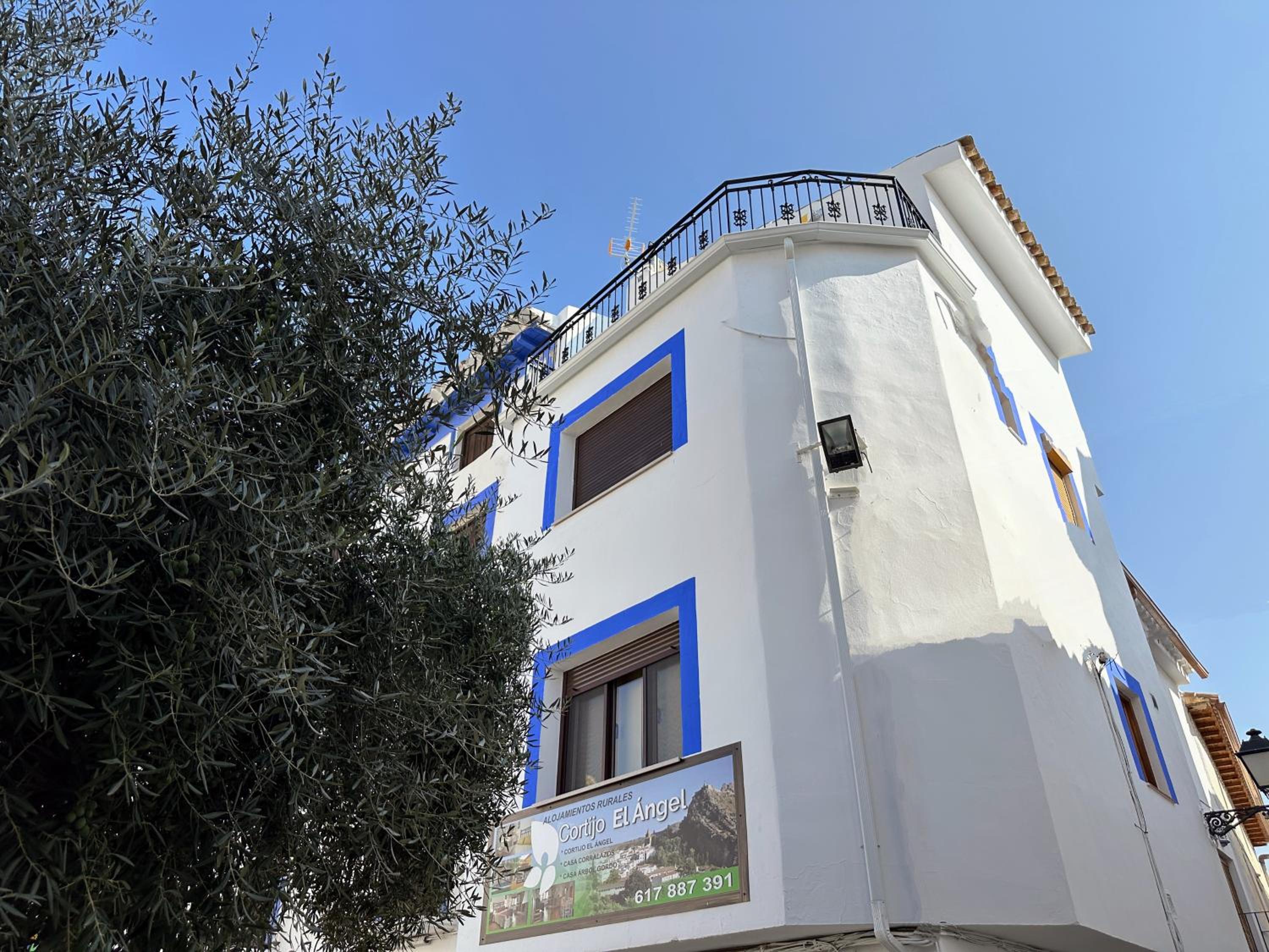 Casa el Árbol