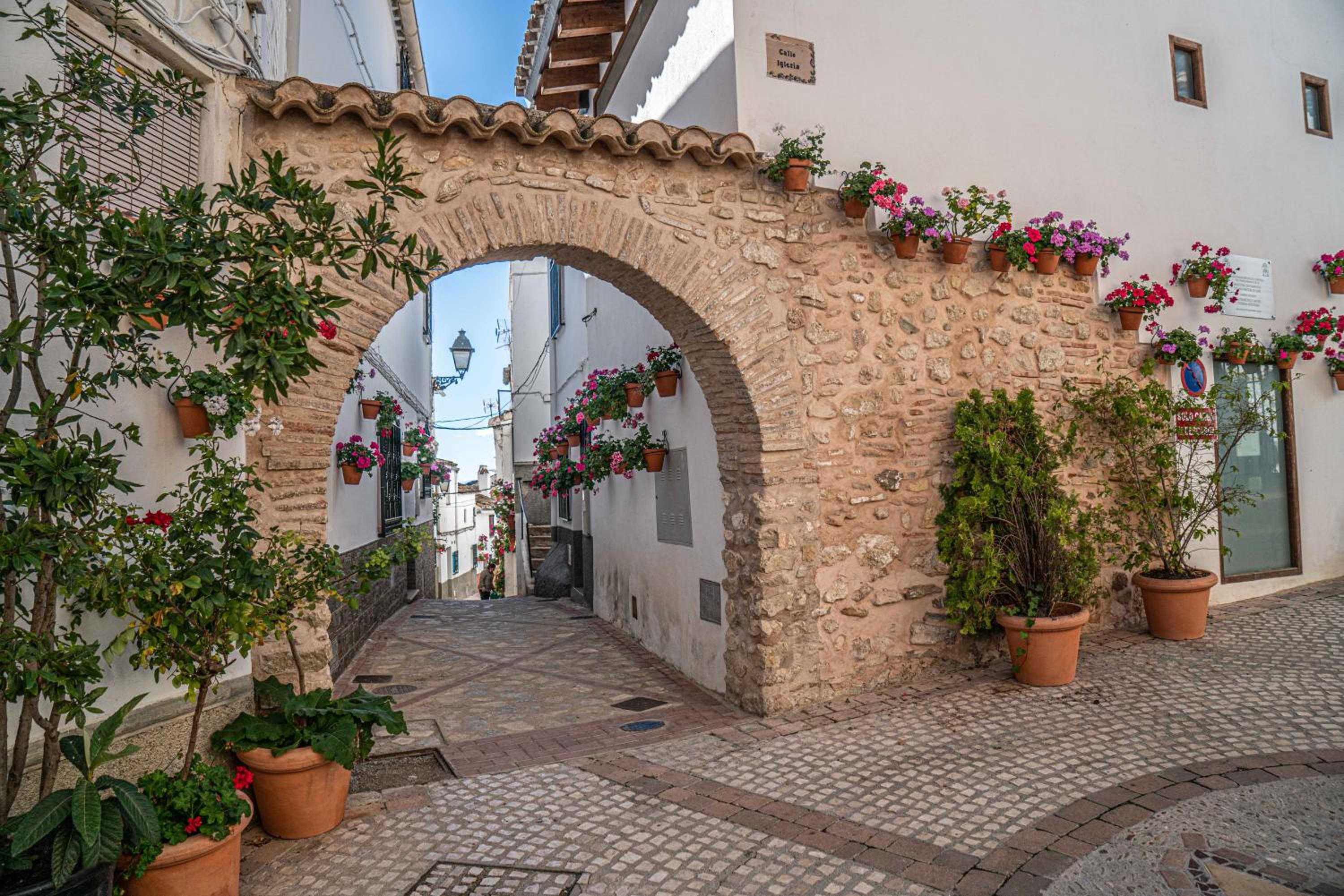 Casa el Árbol
