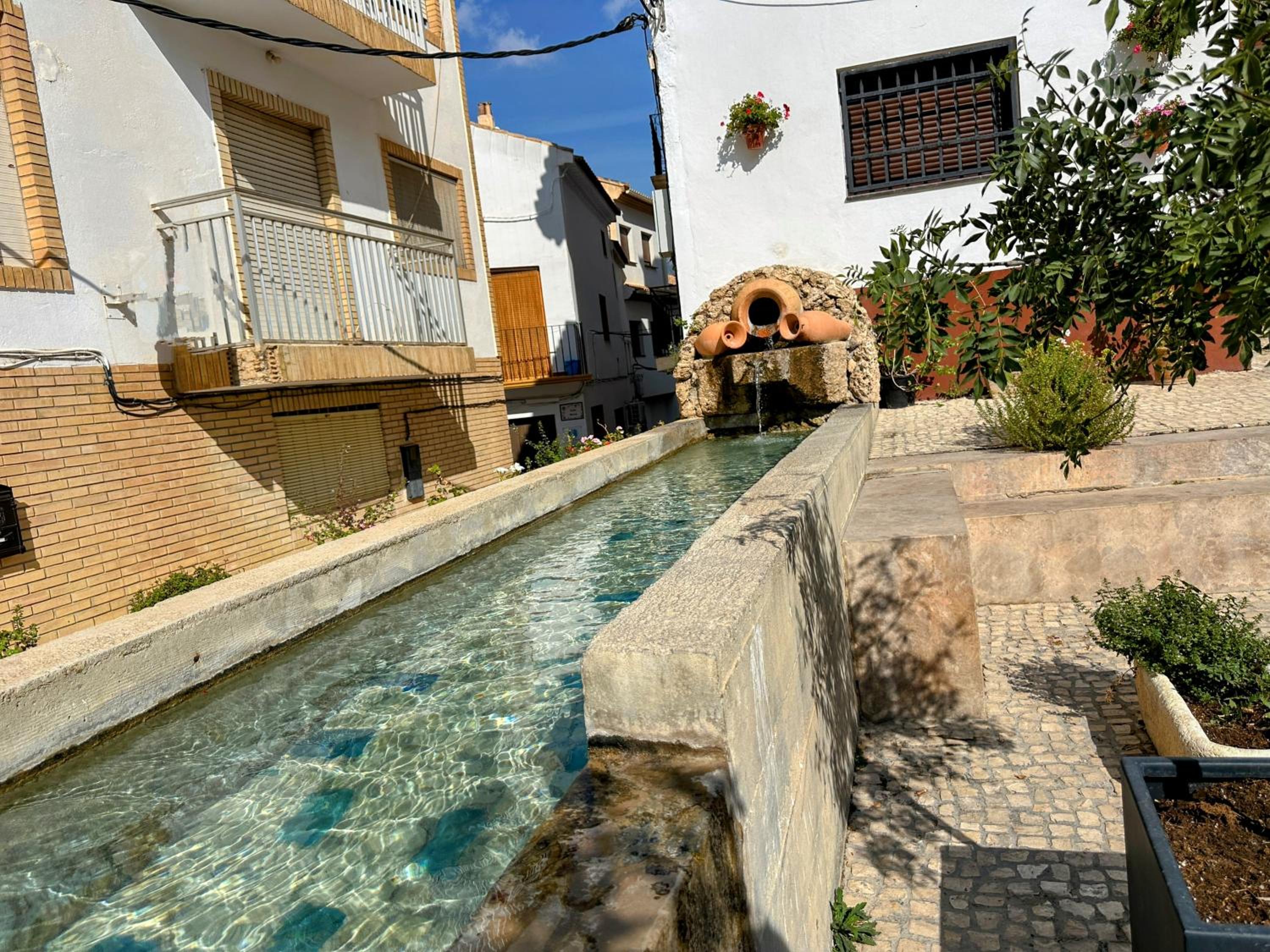 Casa el Árbol