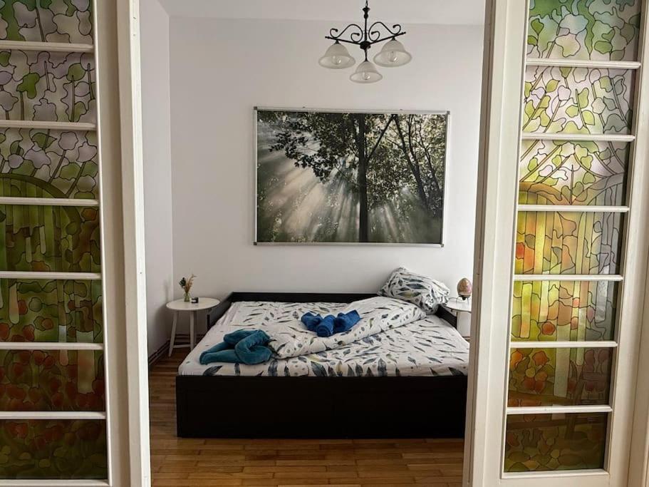 Alecsandri Apartment view 5