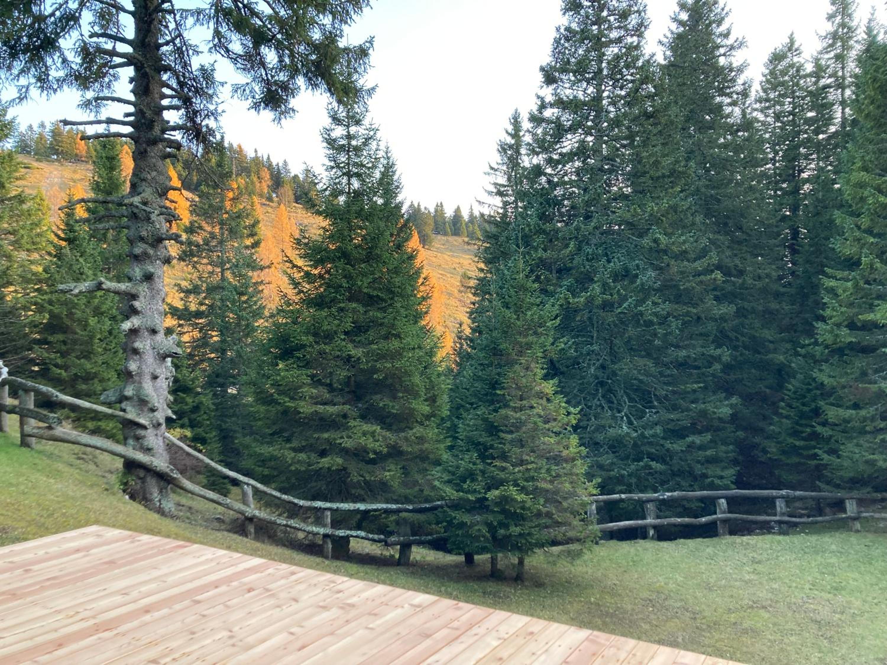 Apartma Krvavec - Kriška planina