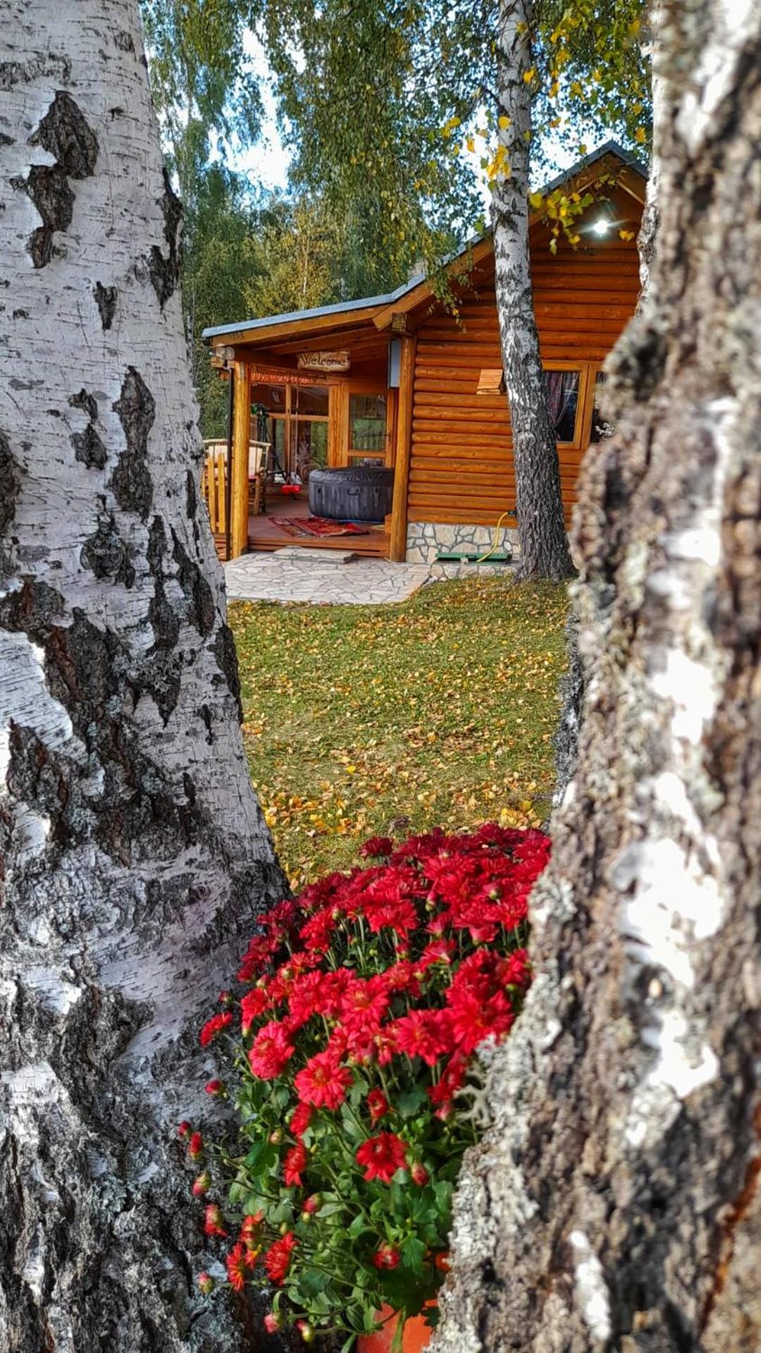Planinska kuca Ella