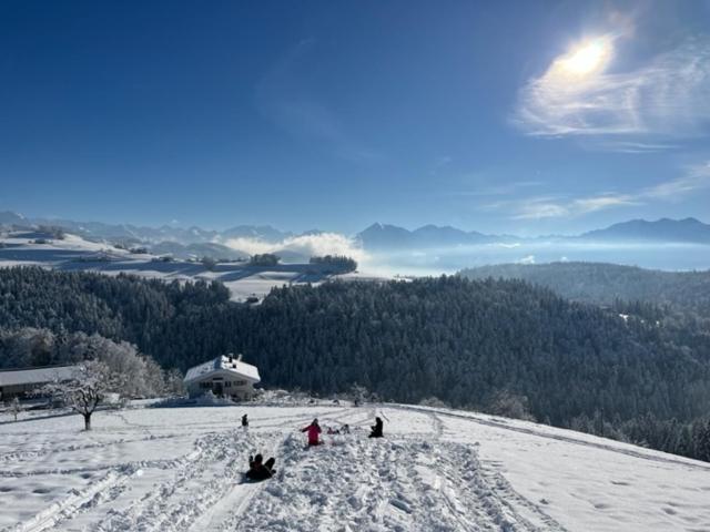 Swiss Alps